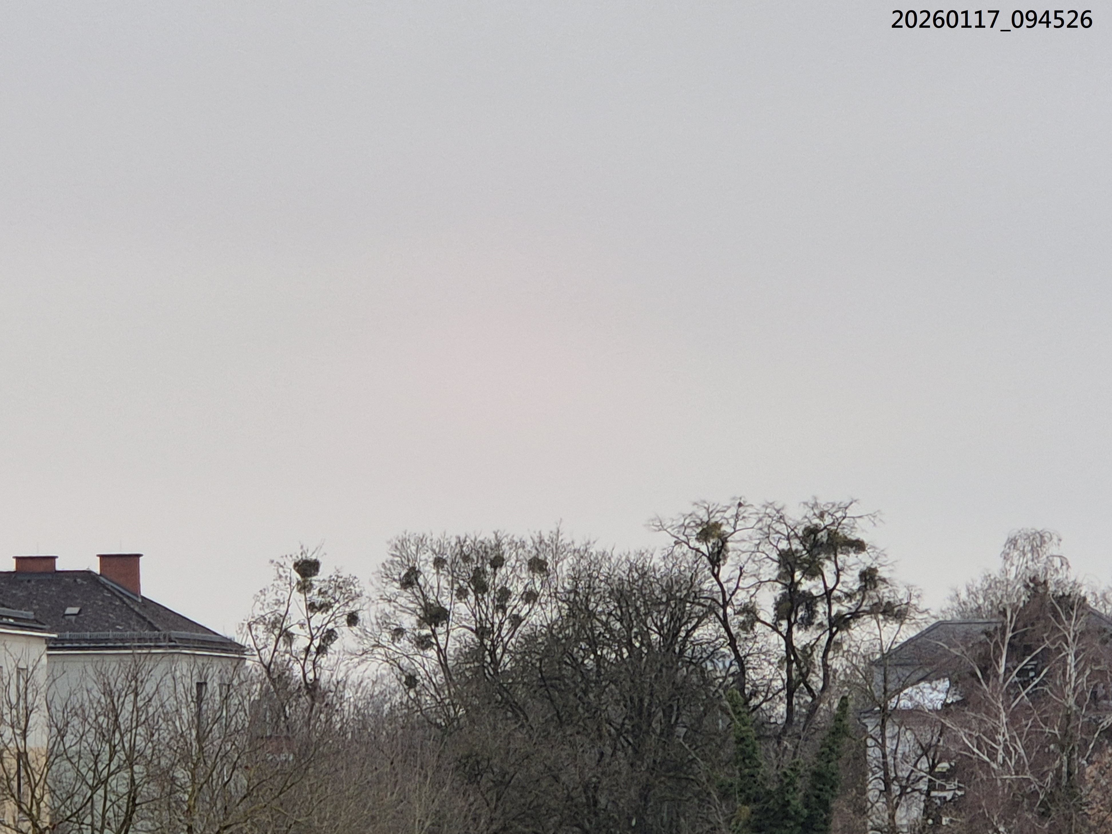 B2026_1_40