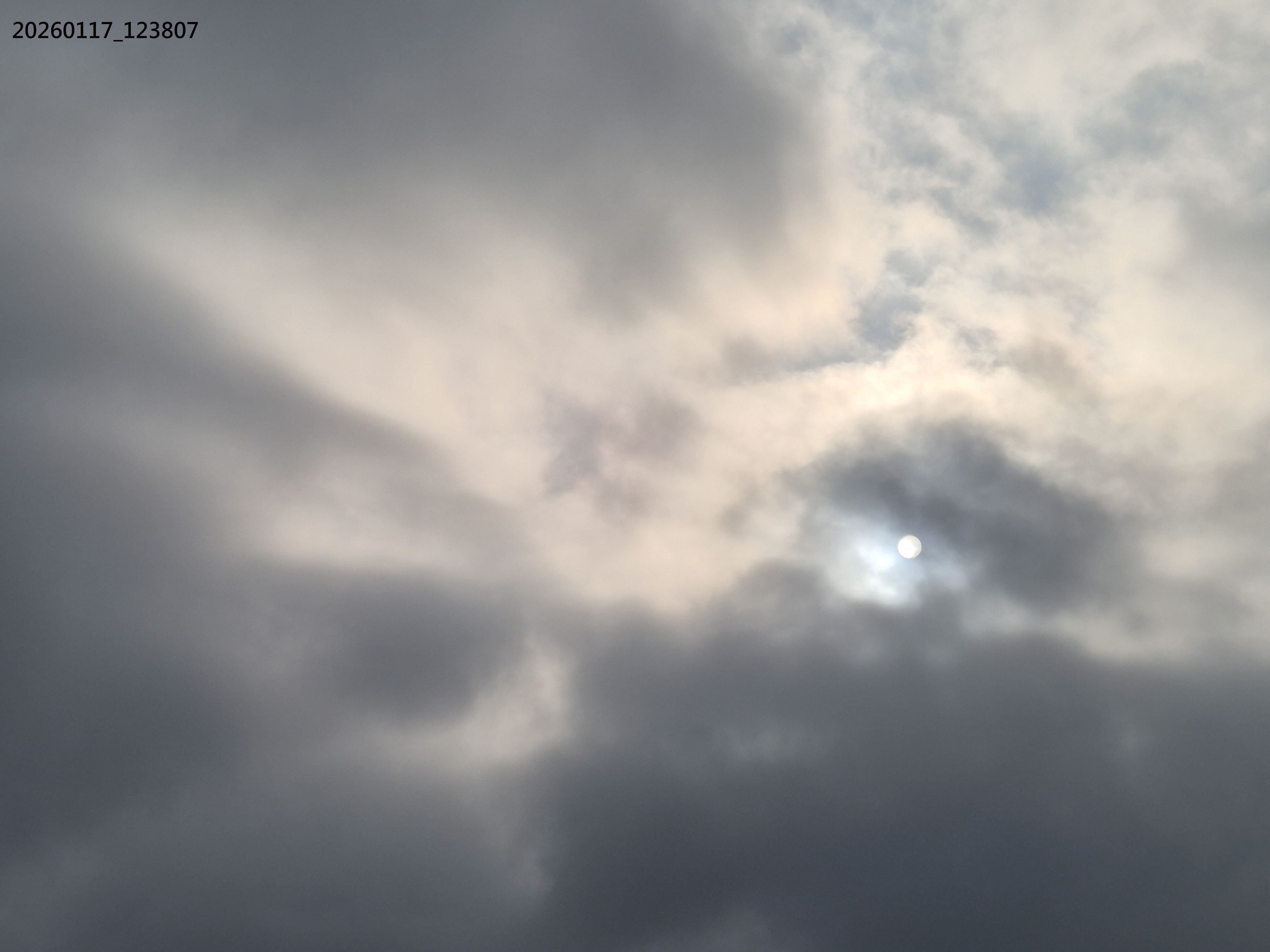 B2026_1_41