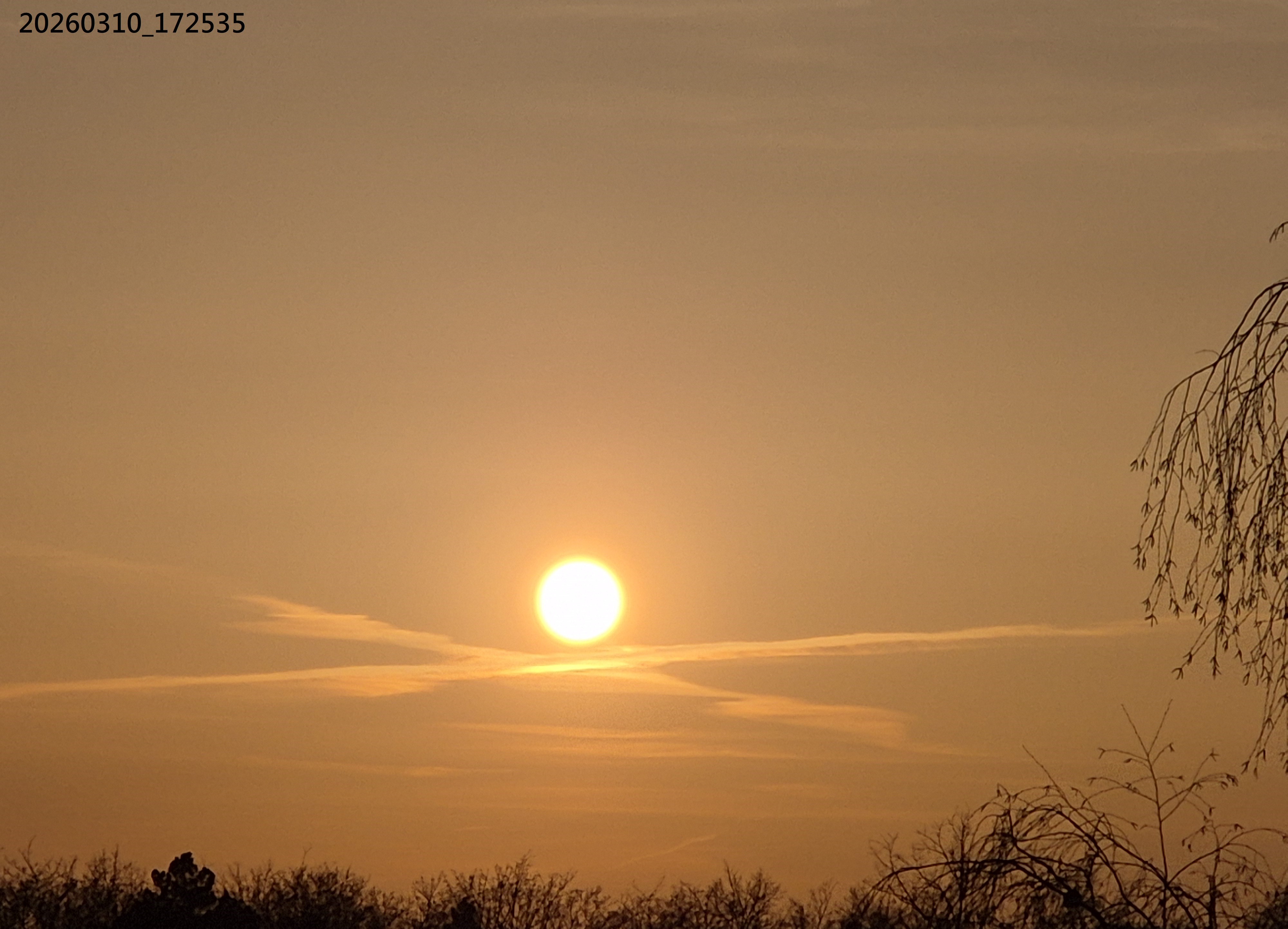 B2026_3_22