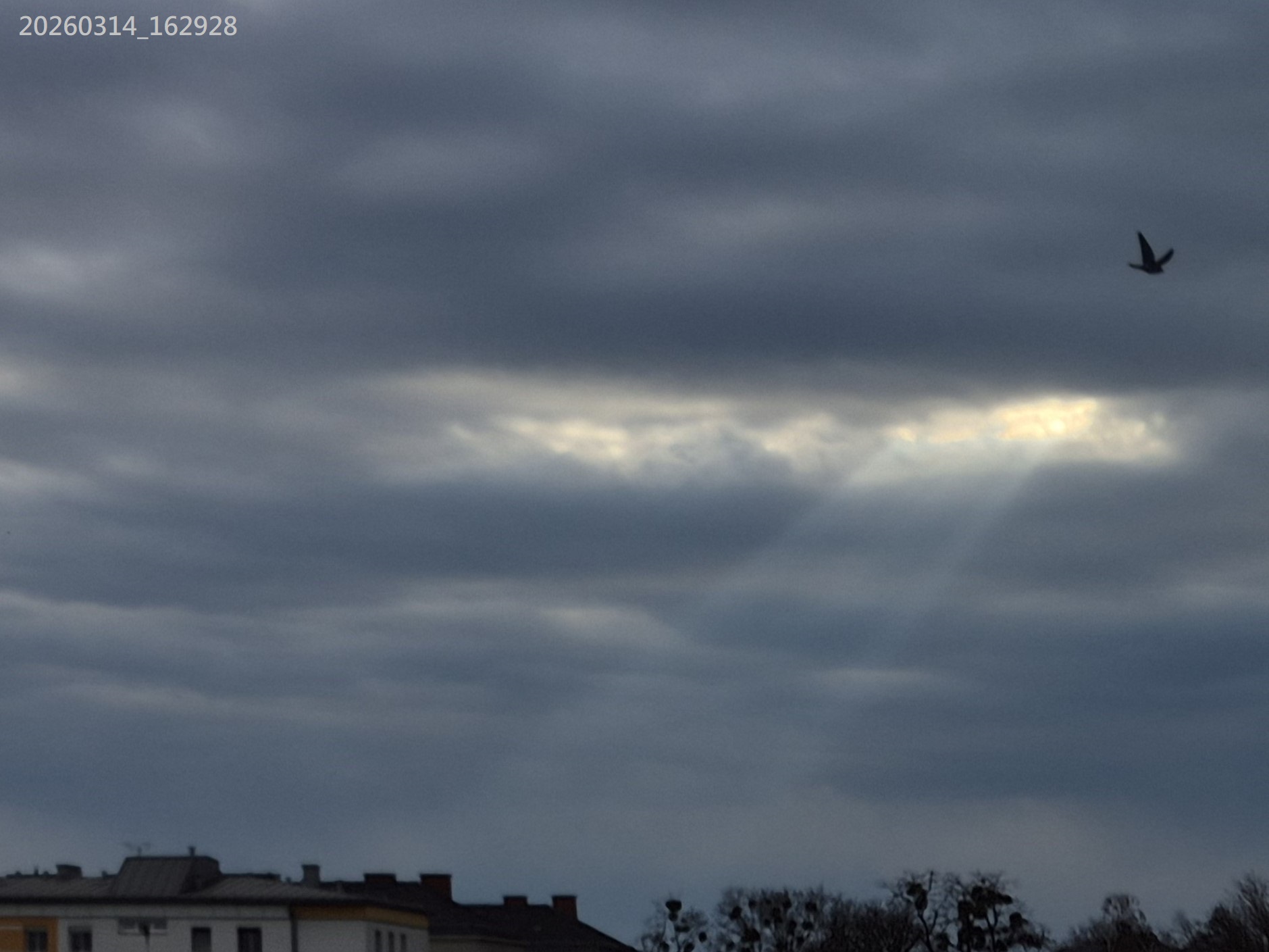 B2026_3_34