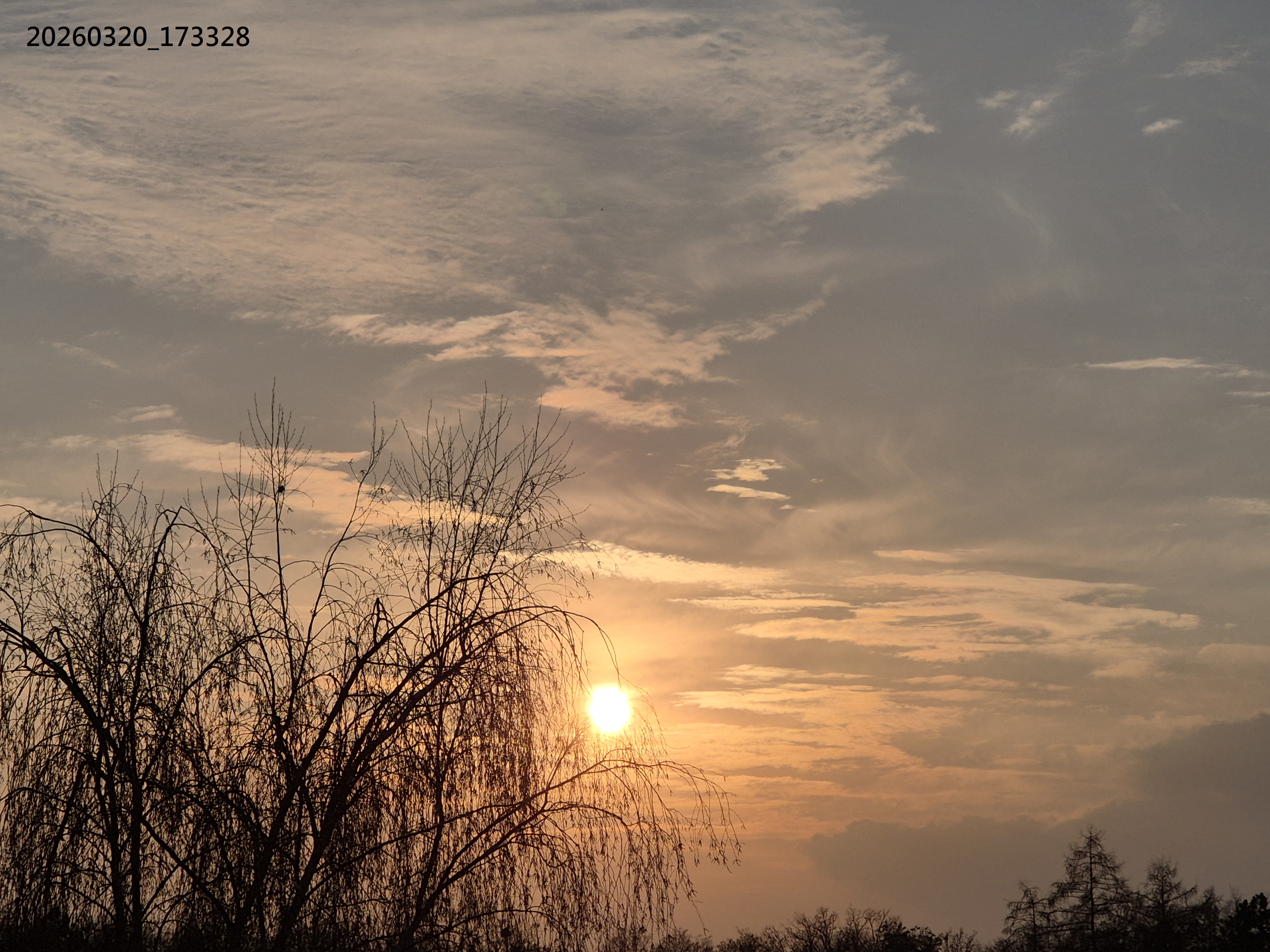 B2026_3_59