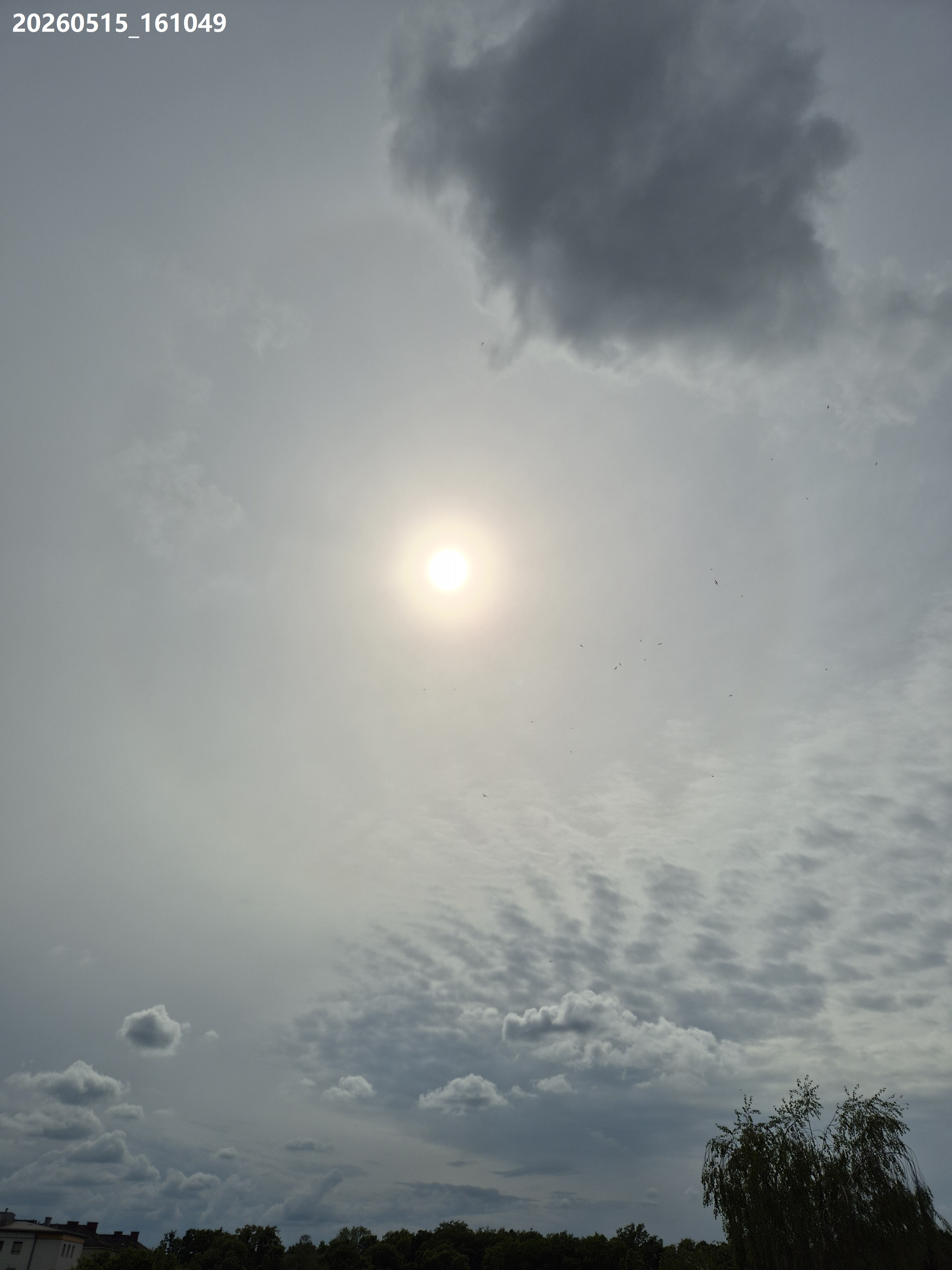 B2026_05_36