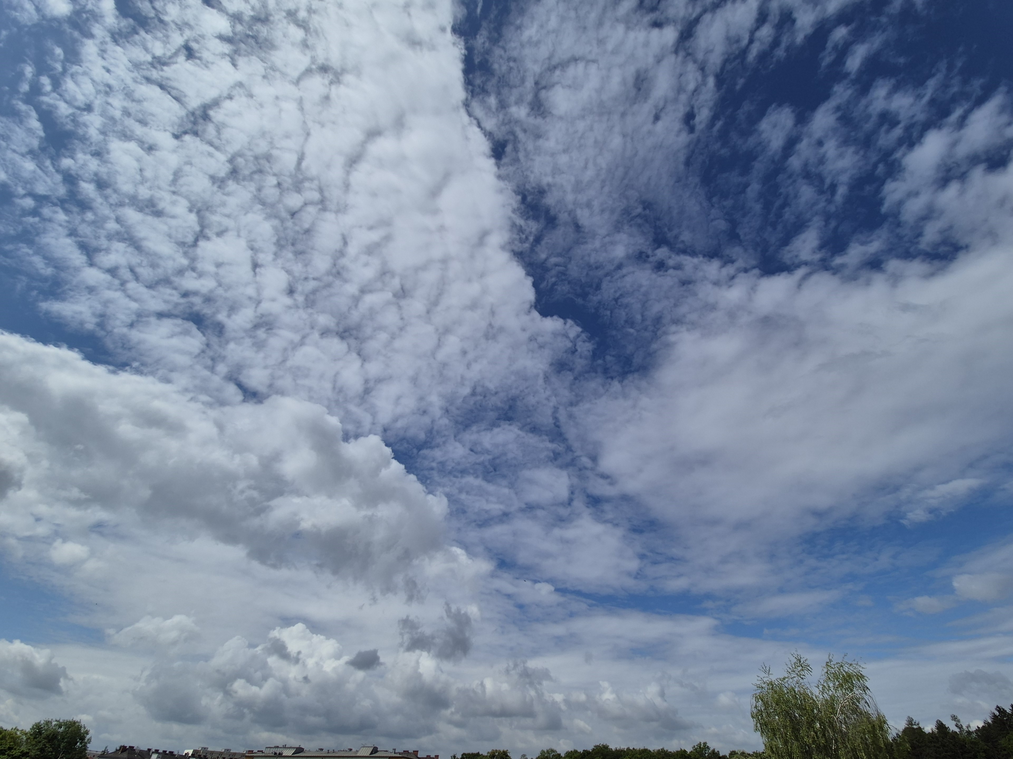 B2026_05_49