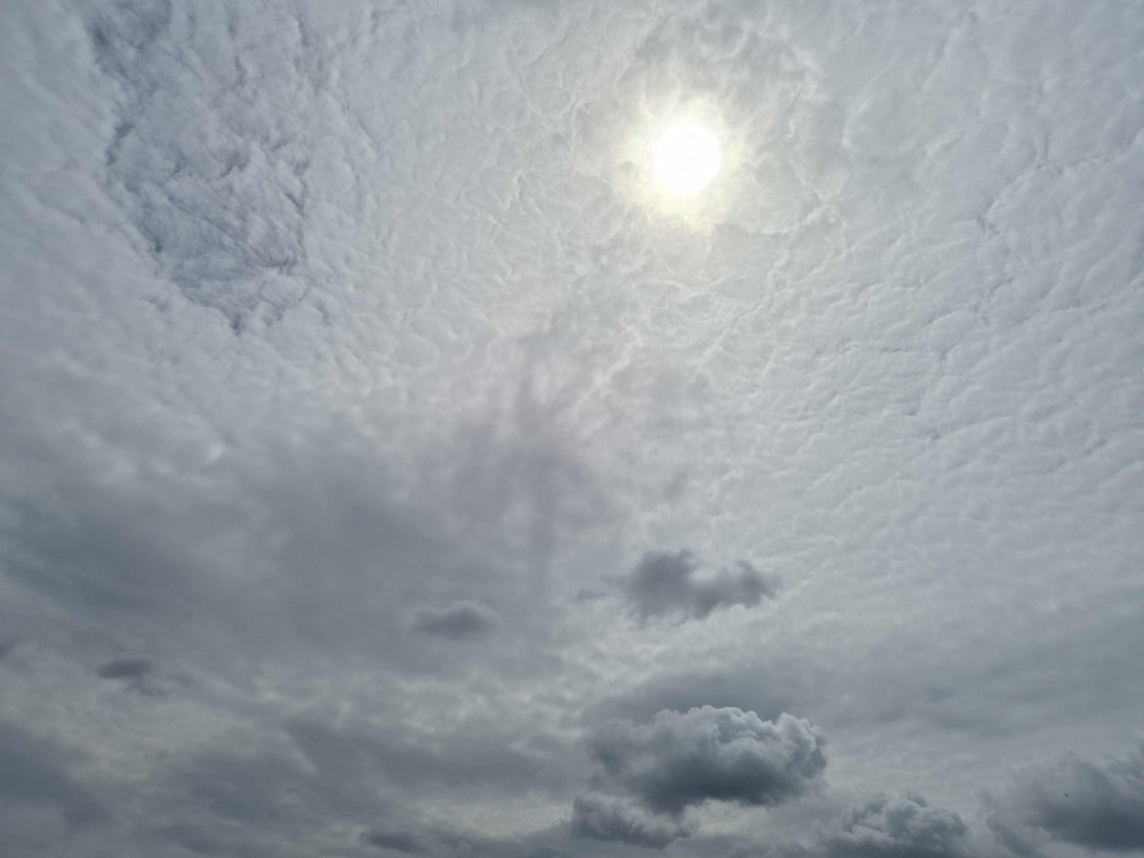B2026_05_53