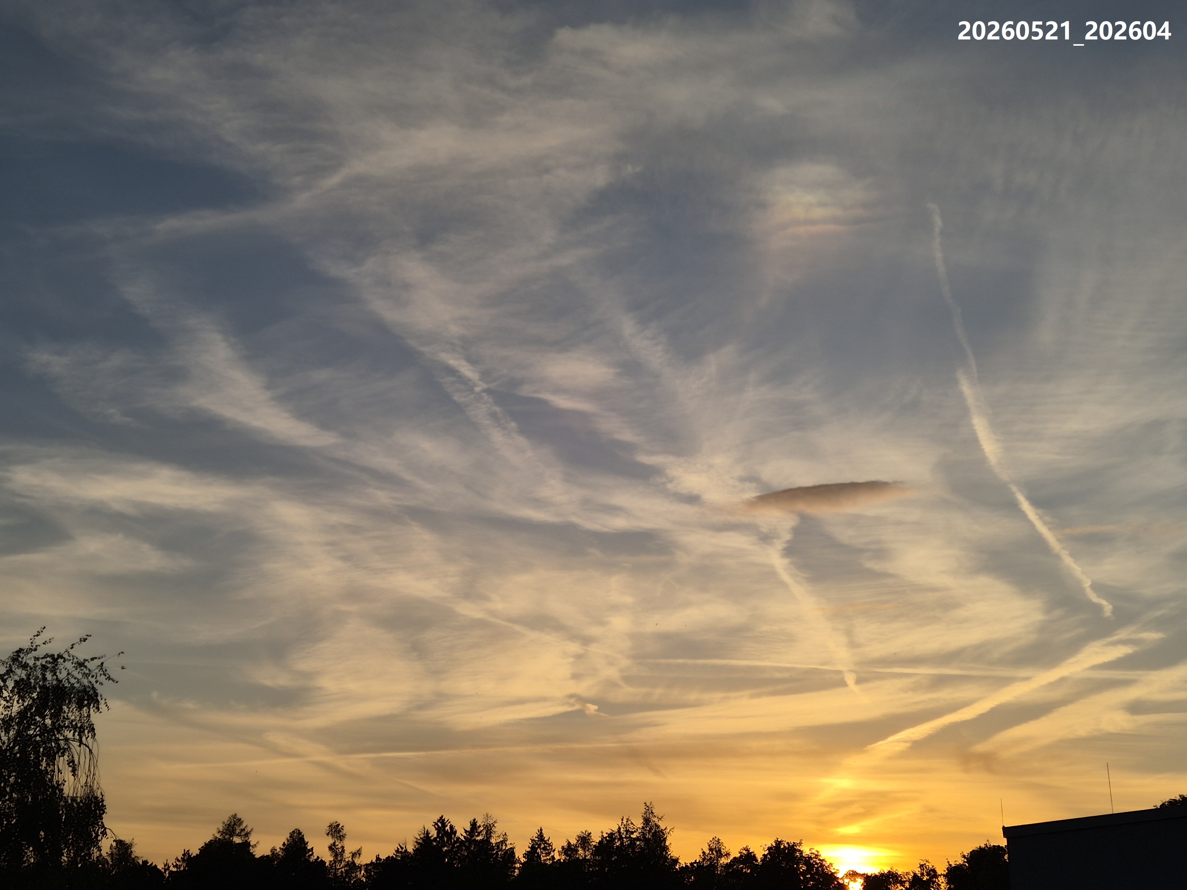 B2026_05_54