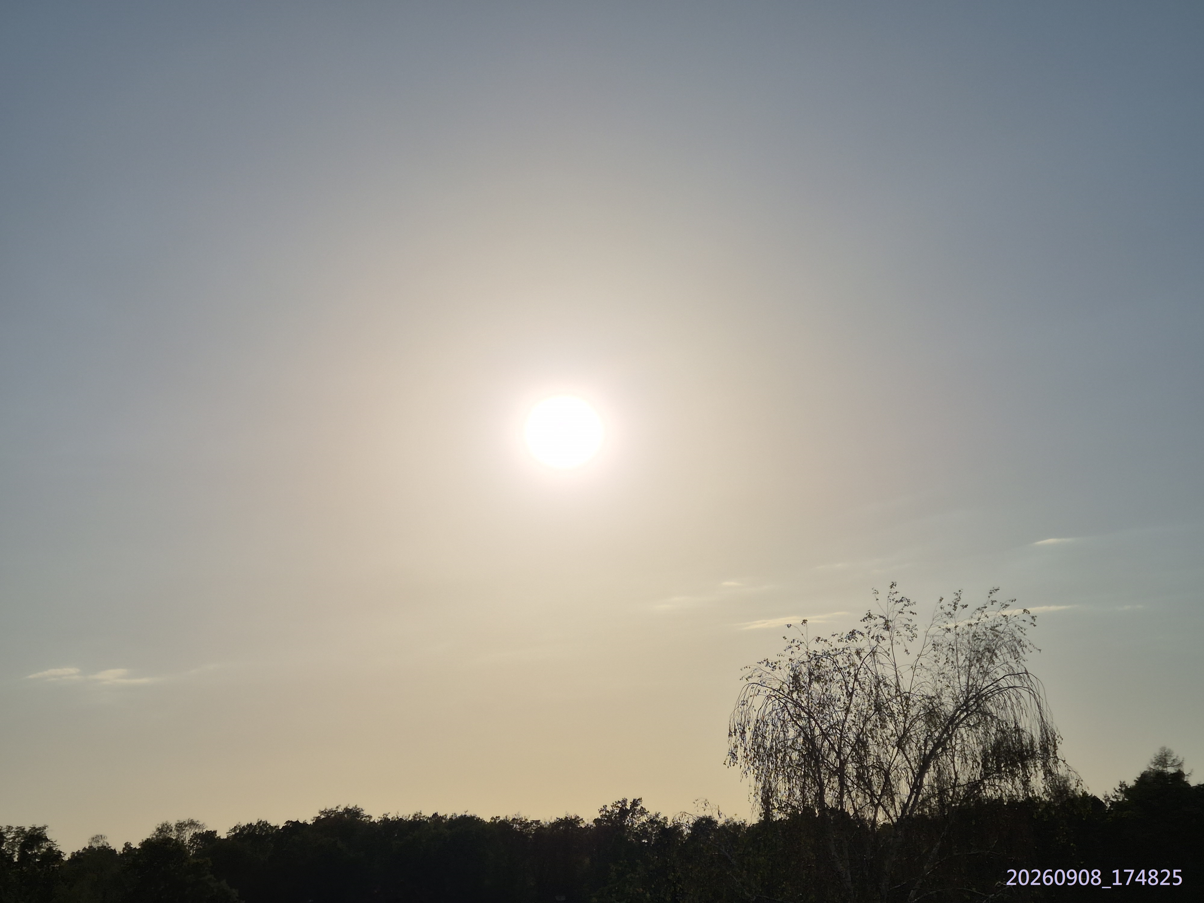 B2026_09_18