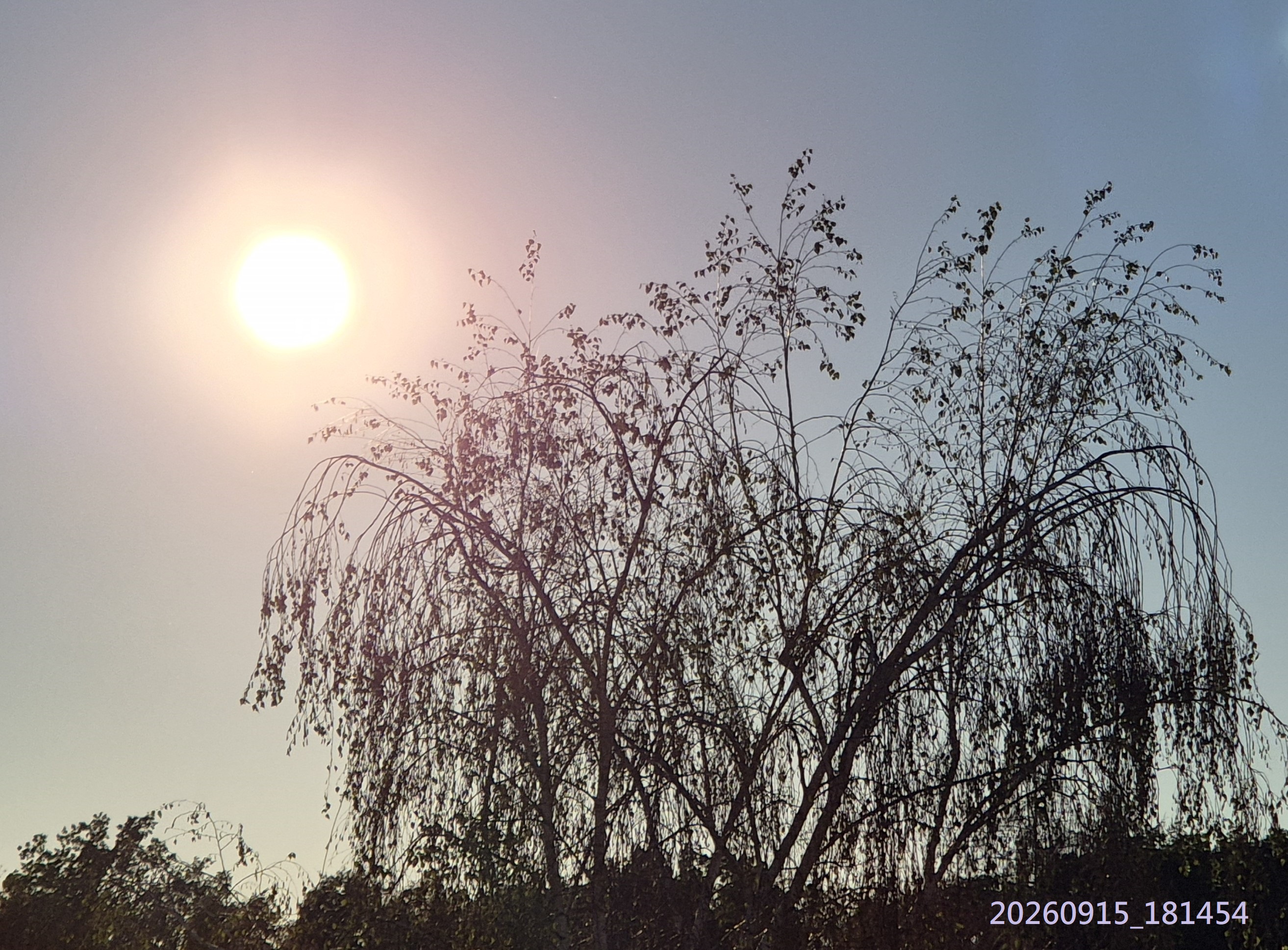 B2026_09_38