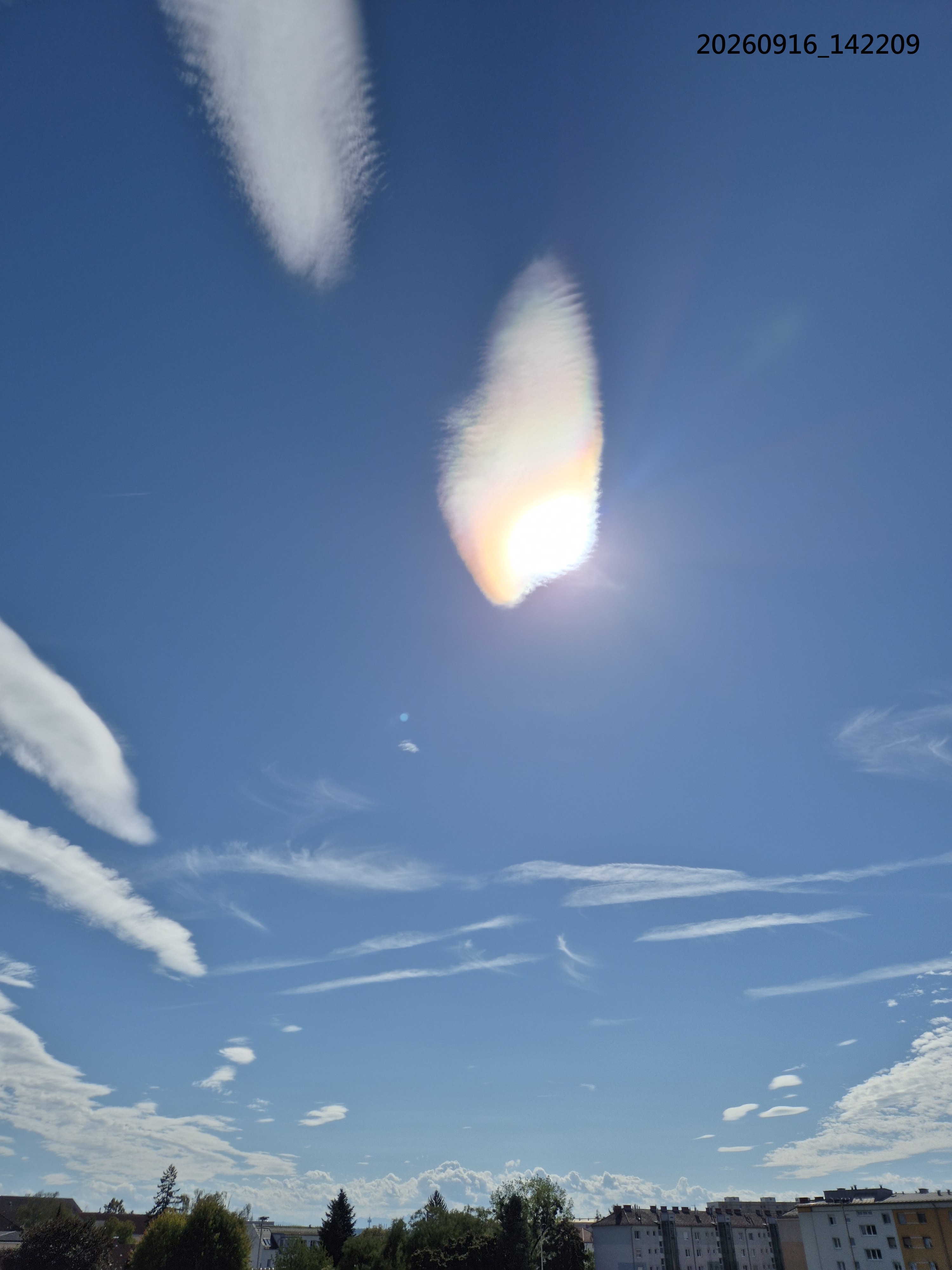 B2026_09_46