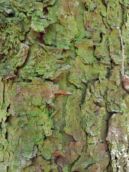 FiberArt_10