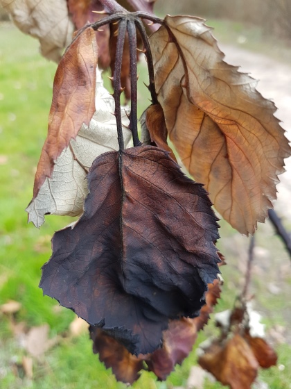 FiberArt_18