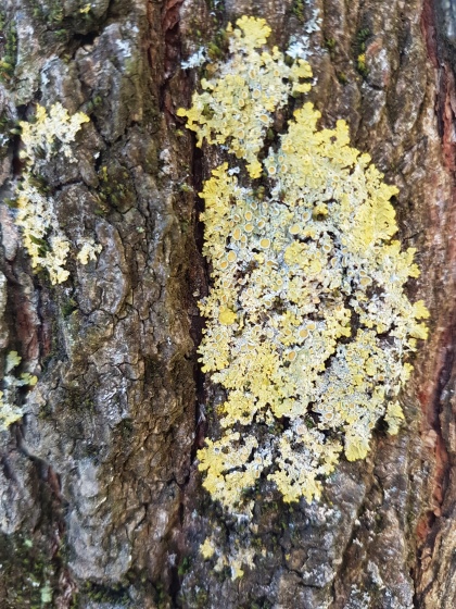 FiberArt_23