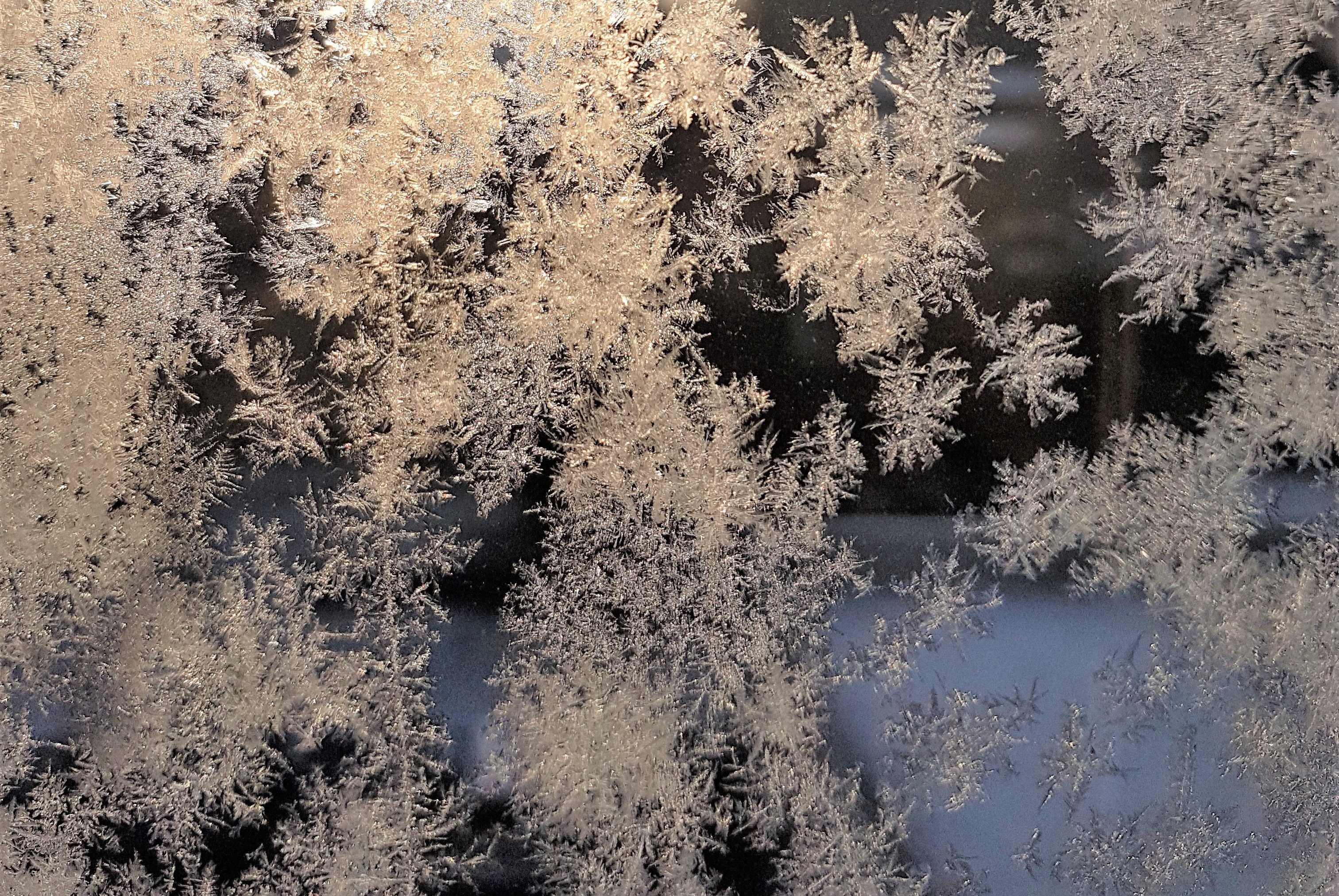 Ice_2016_10