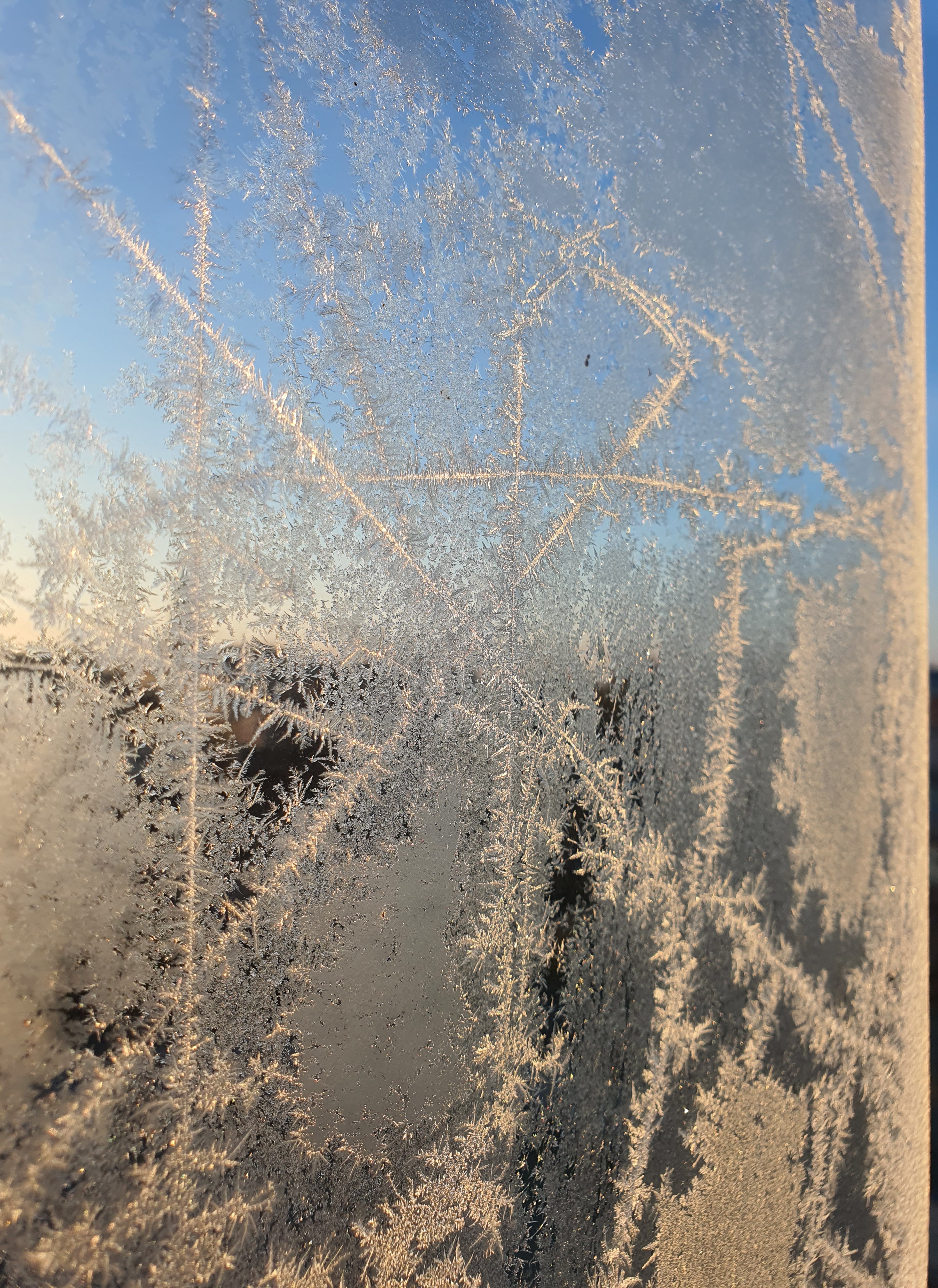 Ice_2016_11