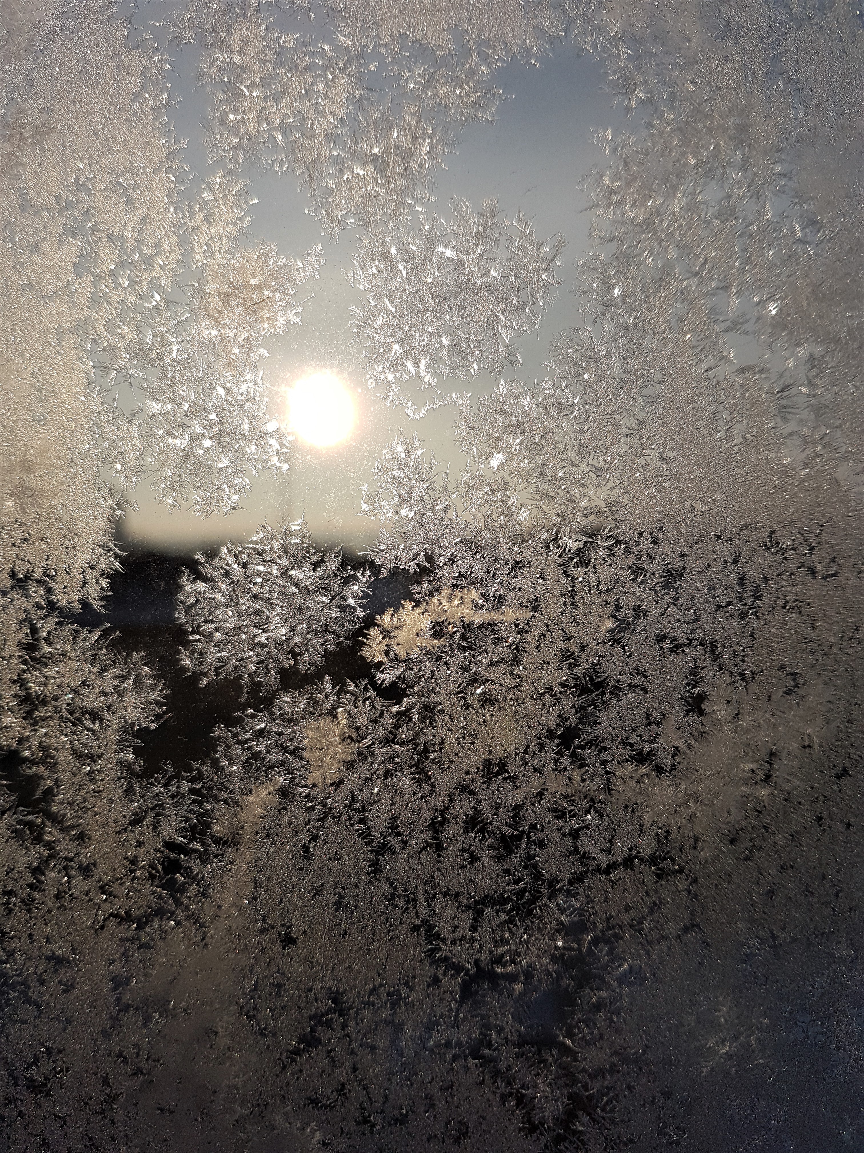 Ice_2016_2