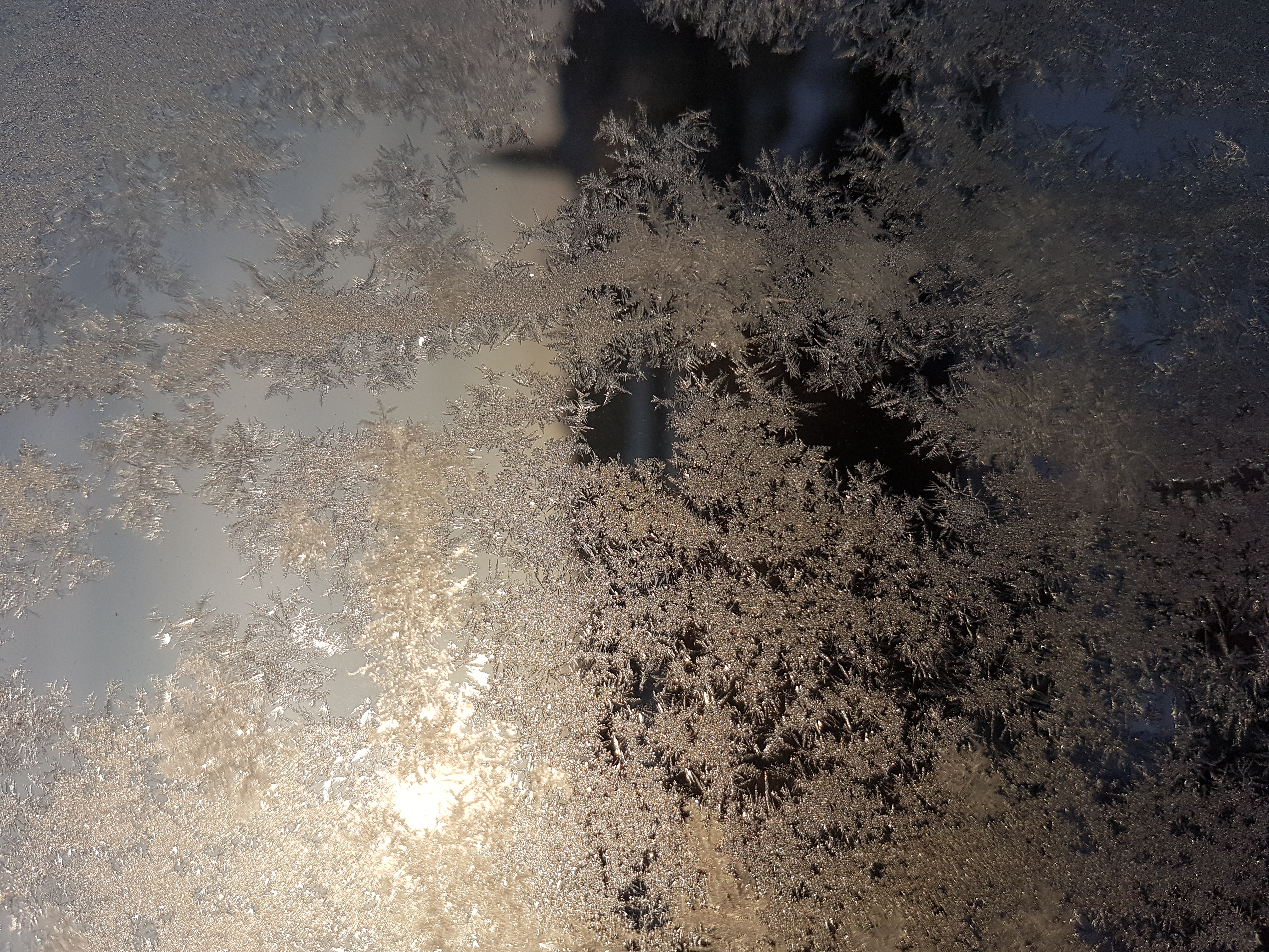 Ice_2016_3