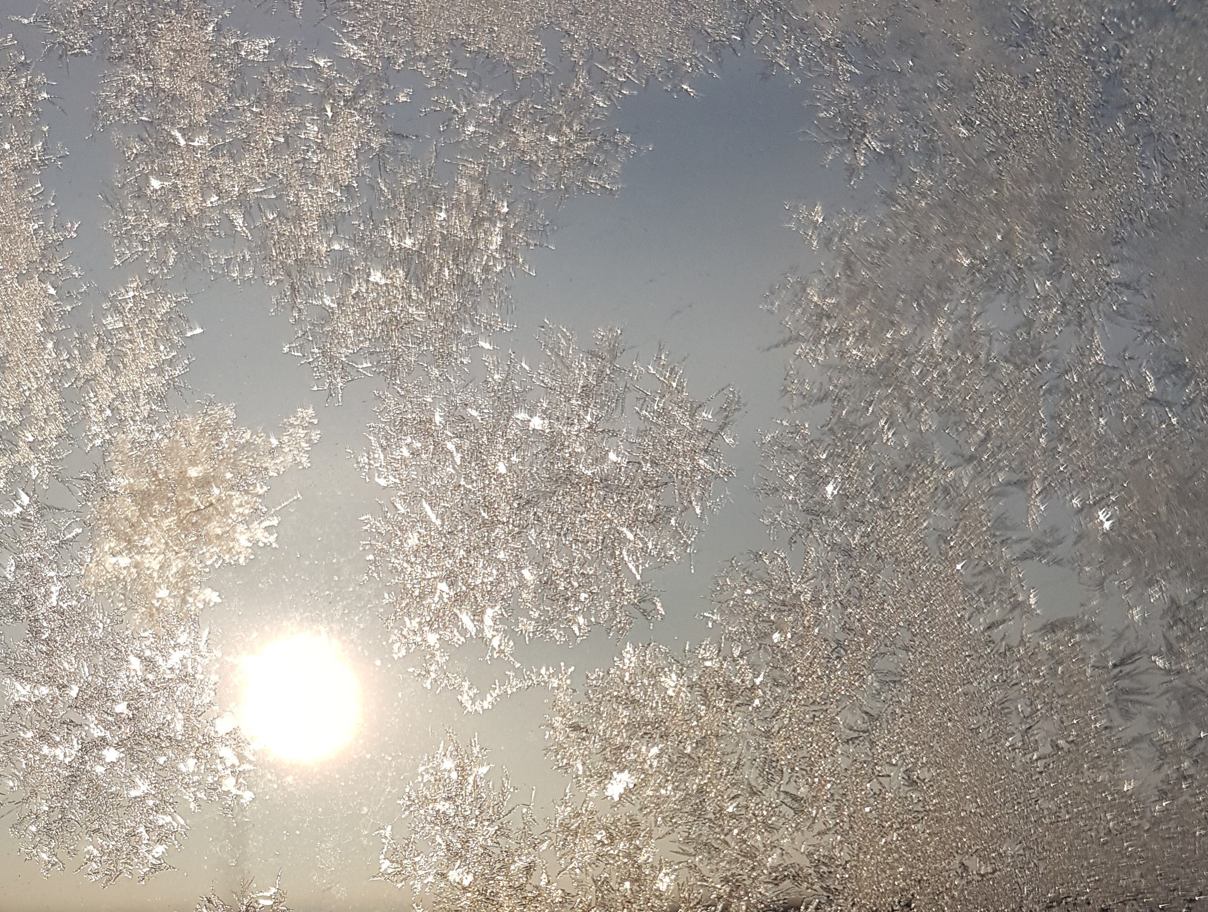 Ice_2016_5