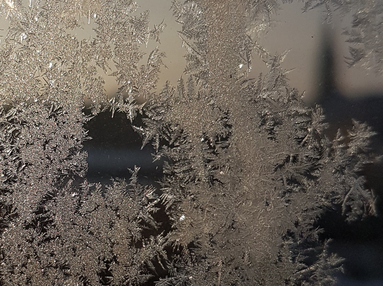 Ice_2016_7