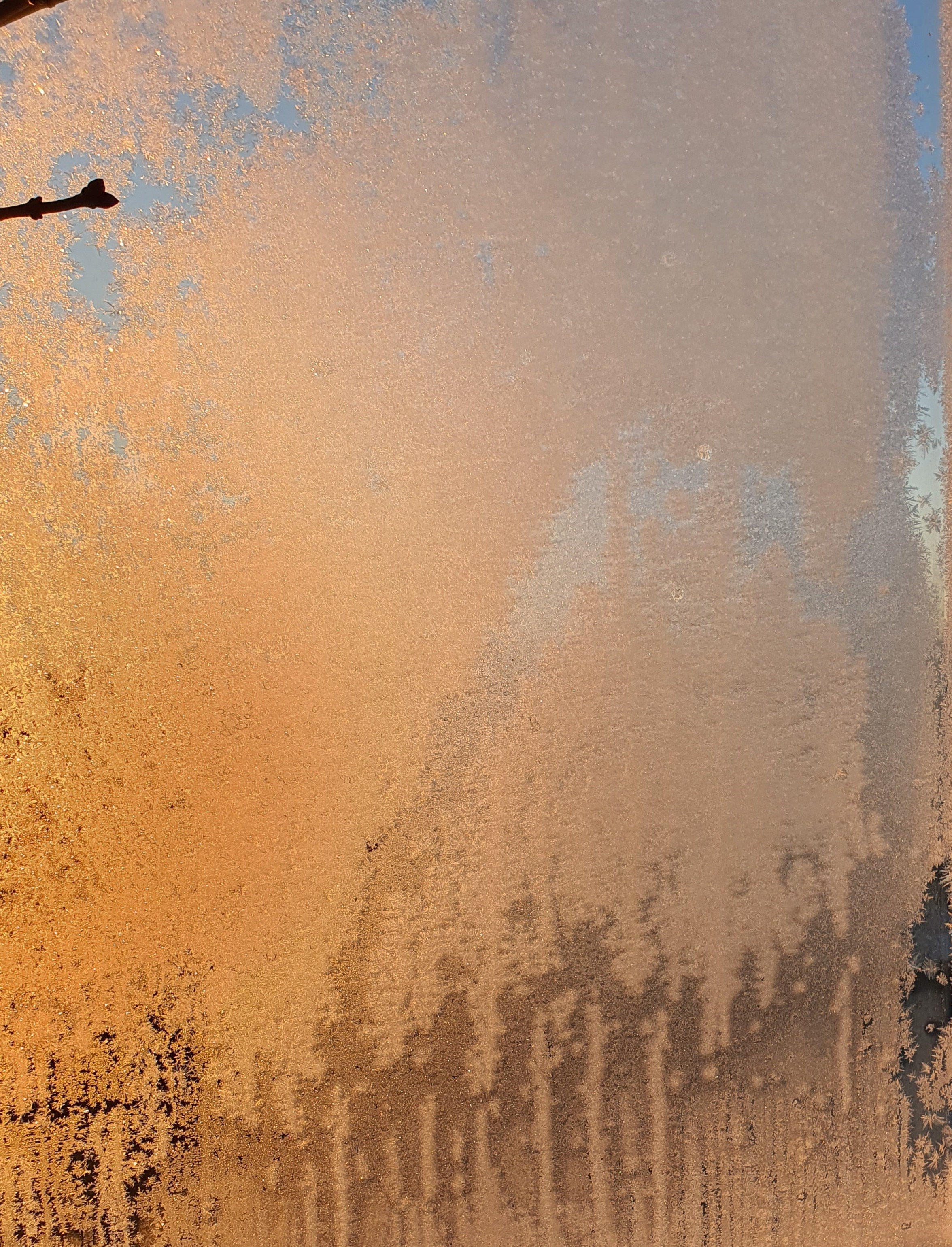 iCE_2021_10