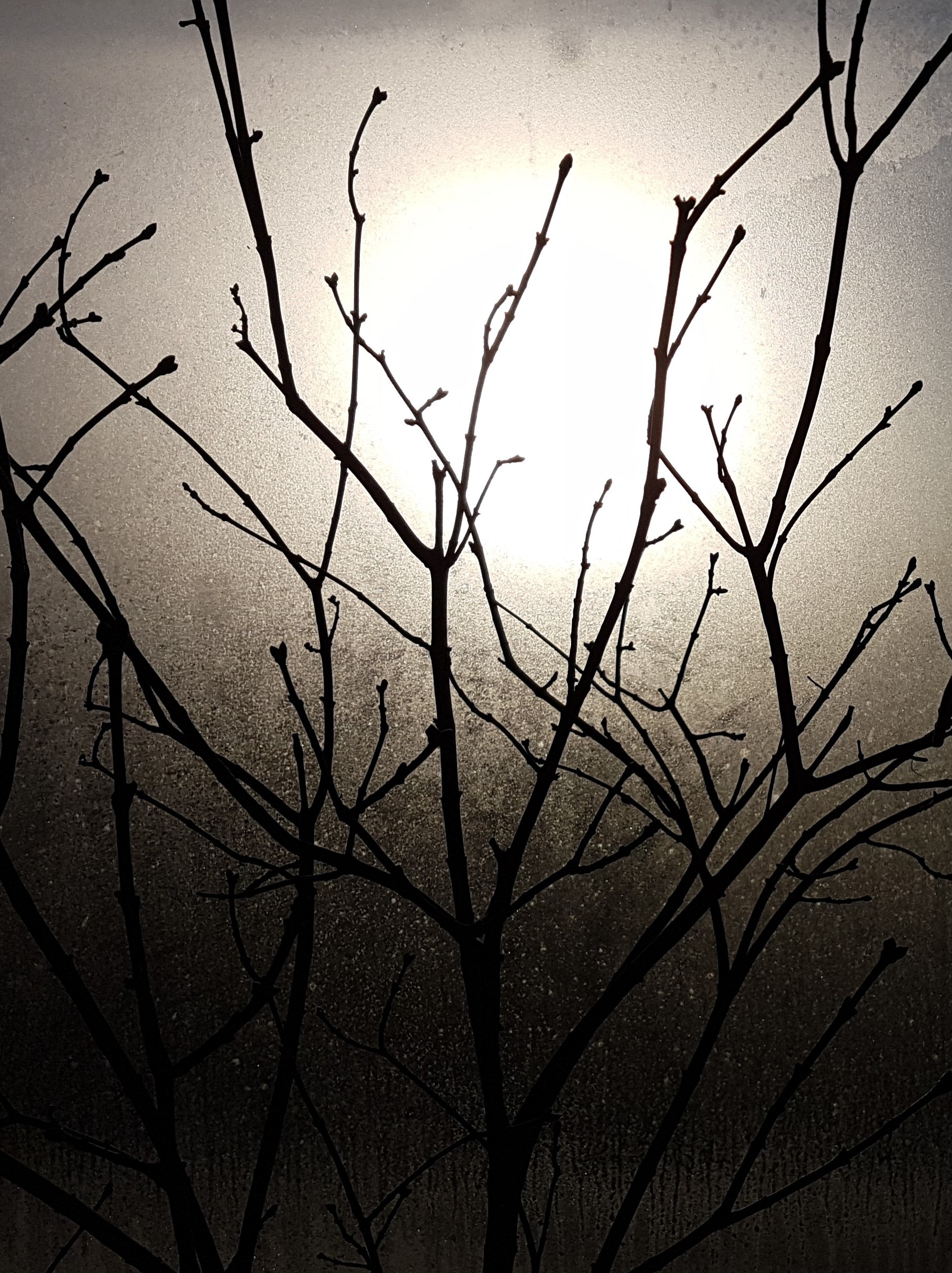 Ice_2021_3