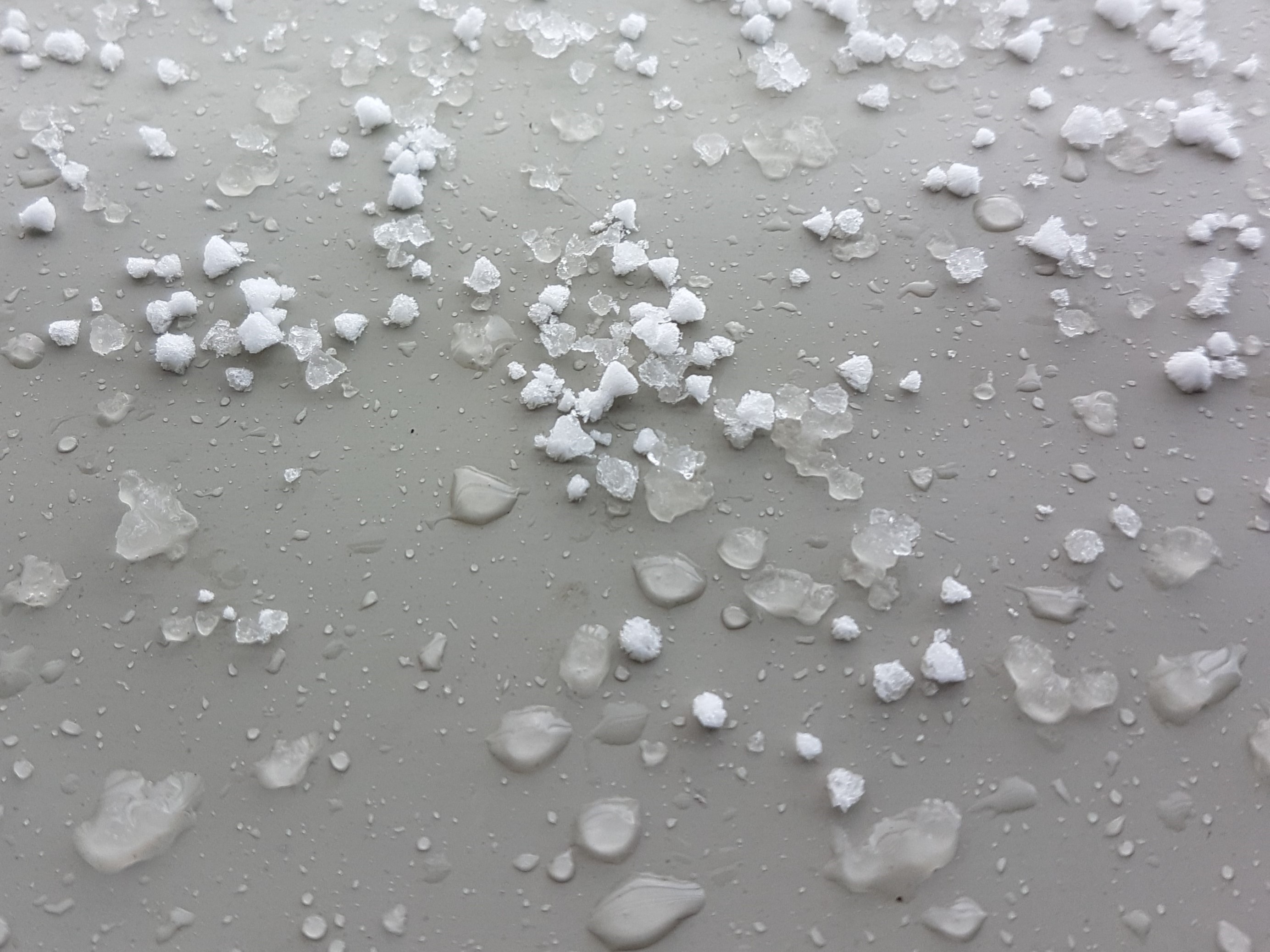 iCE_2021_4