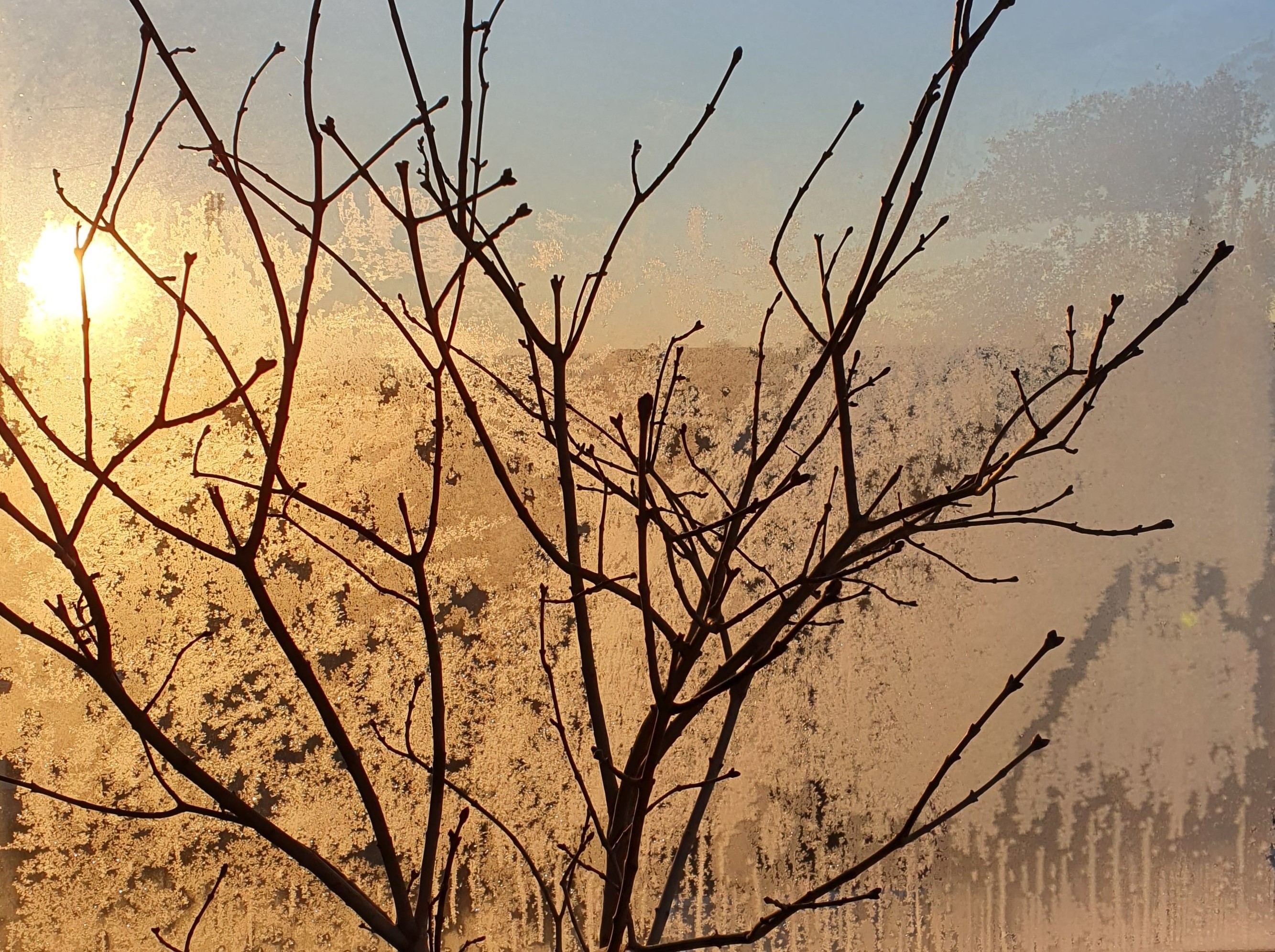 iCE_2021_5