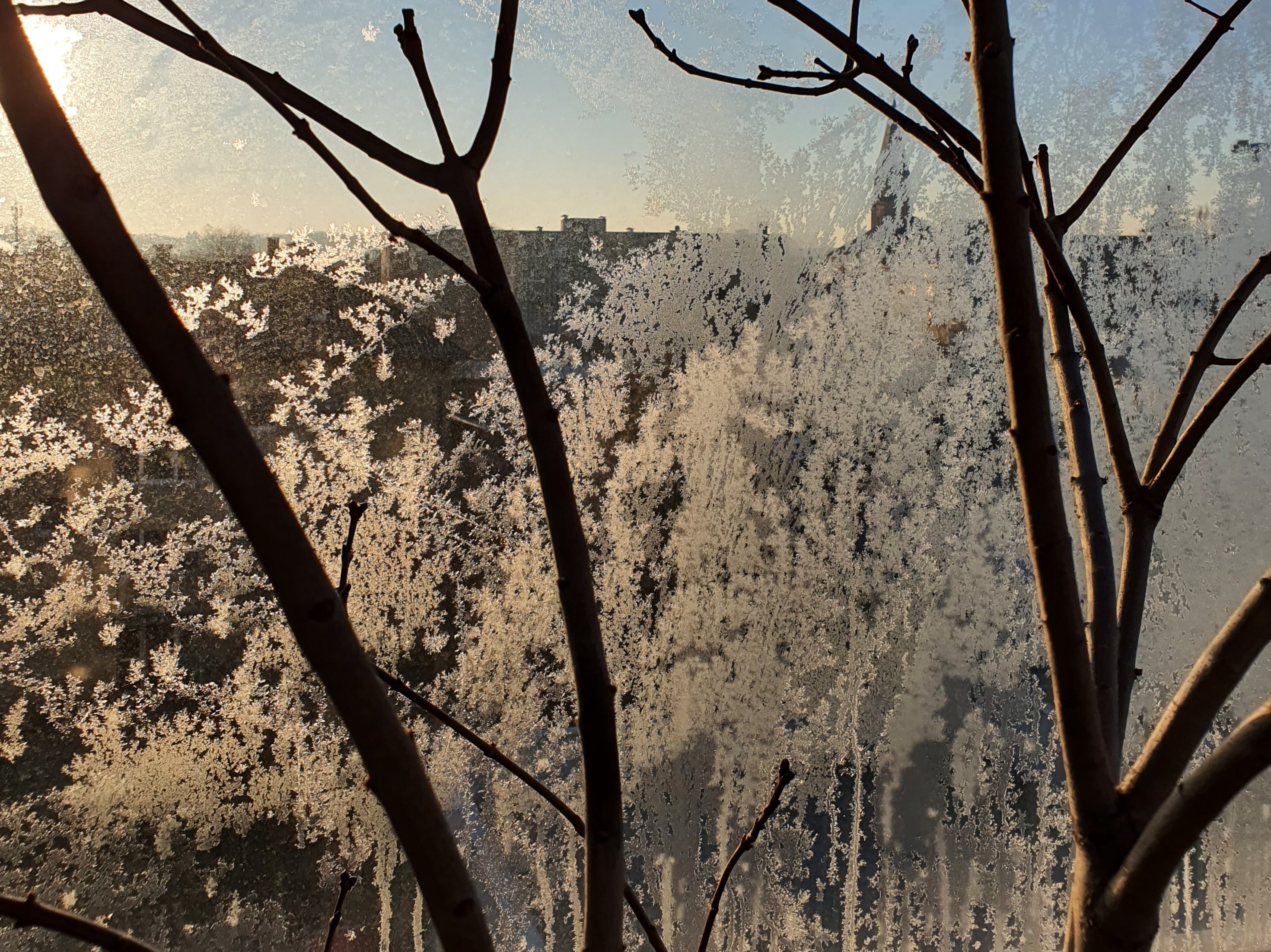 iCE_2021_7