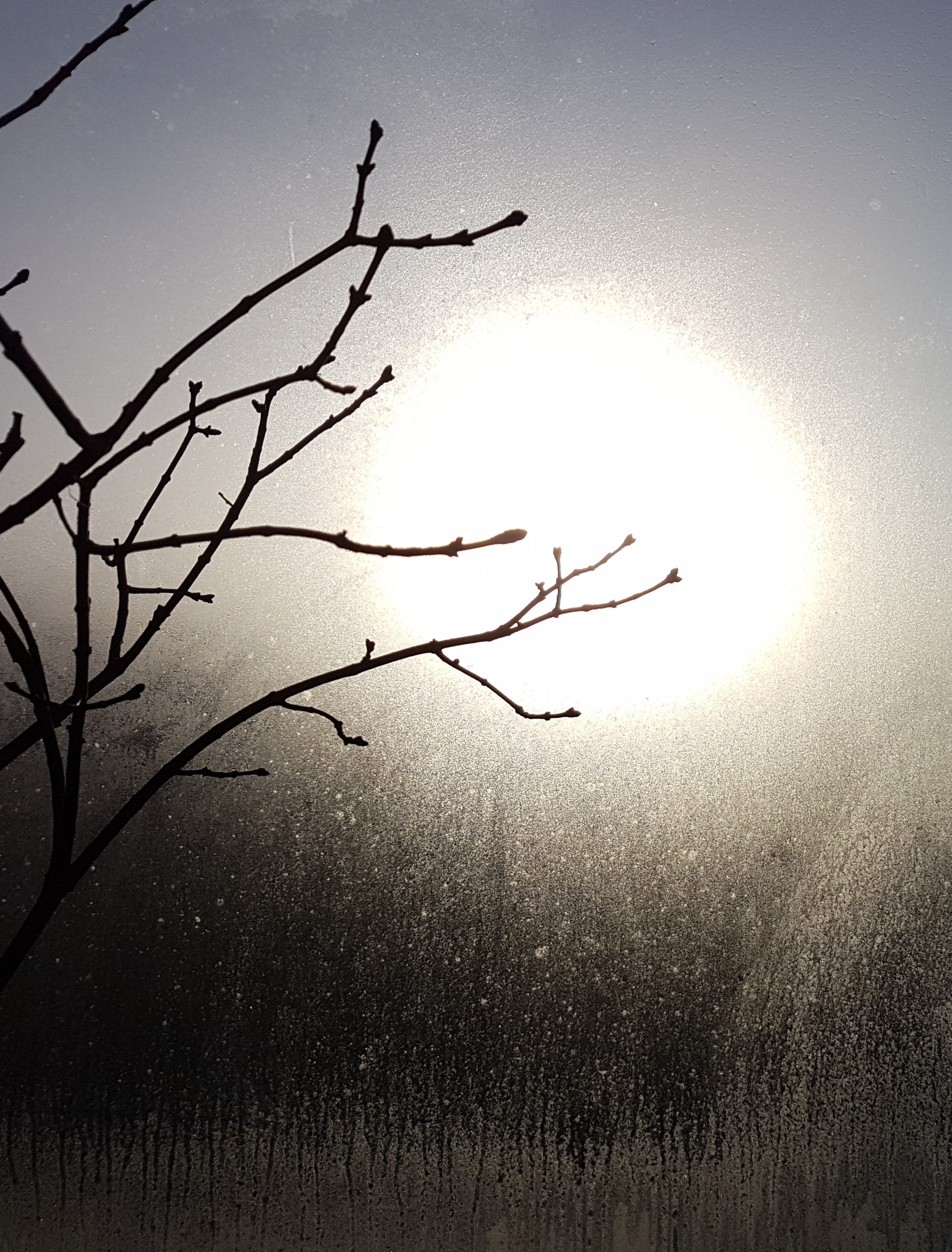 iCE_2021_8