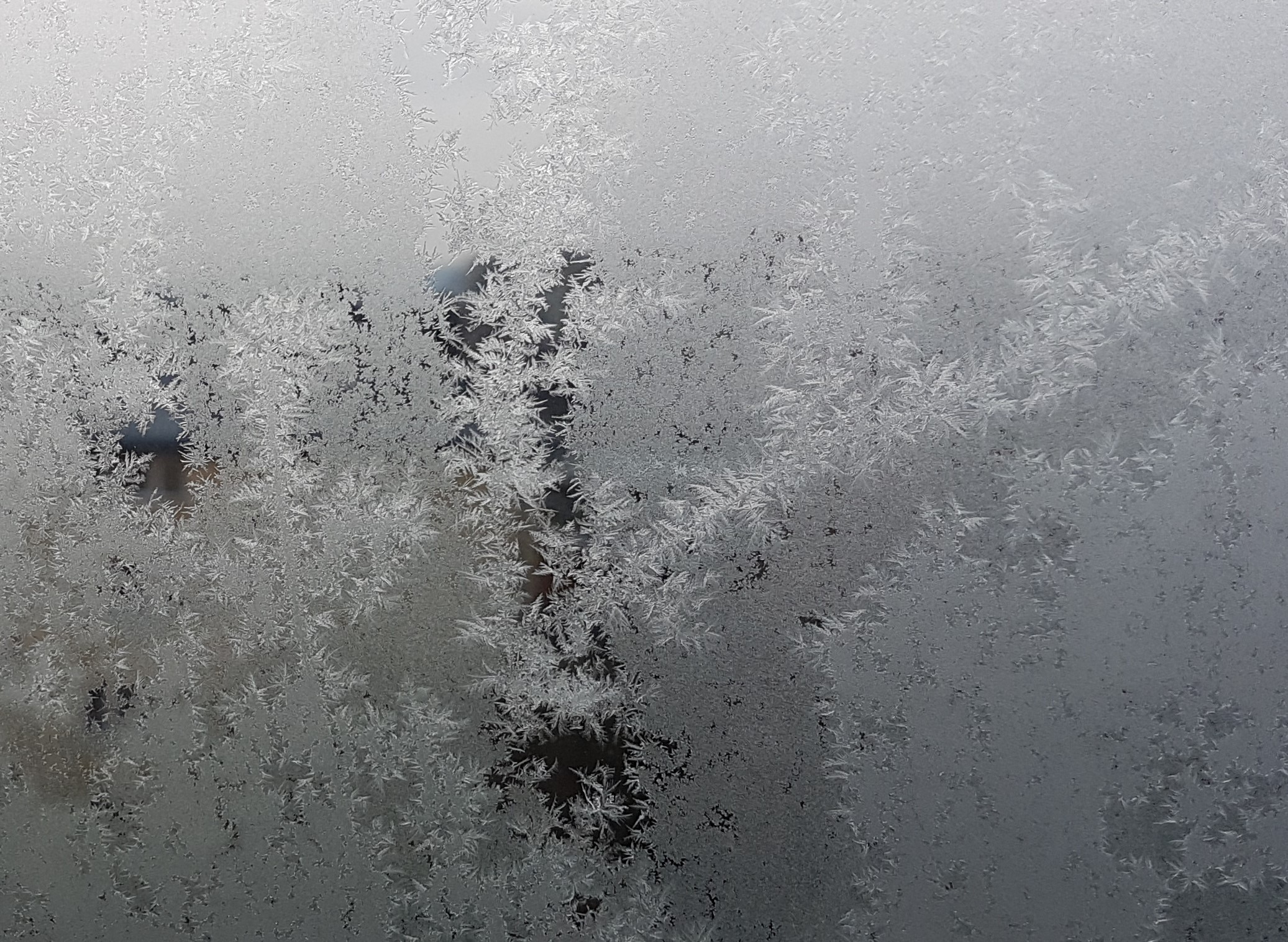 Ice_2022_1