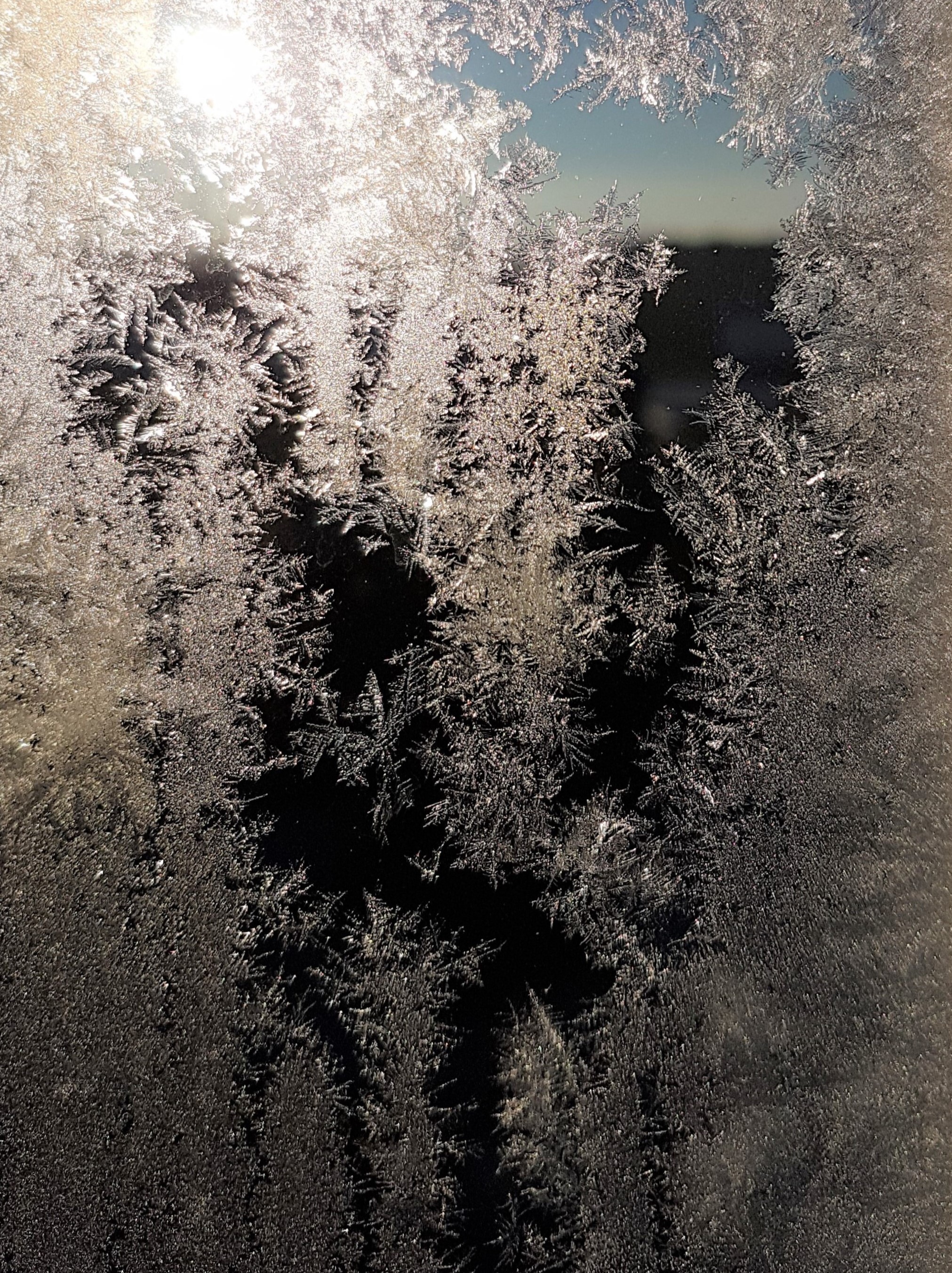Ice_2022_11