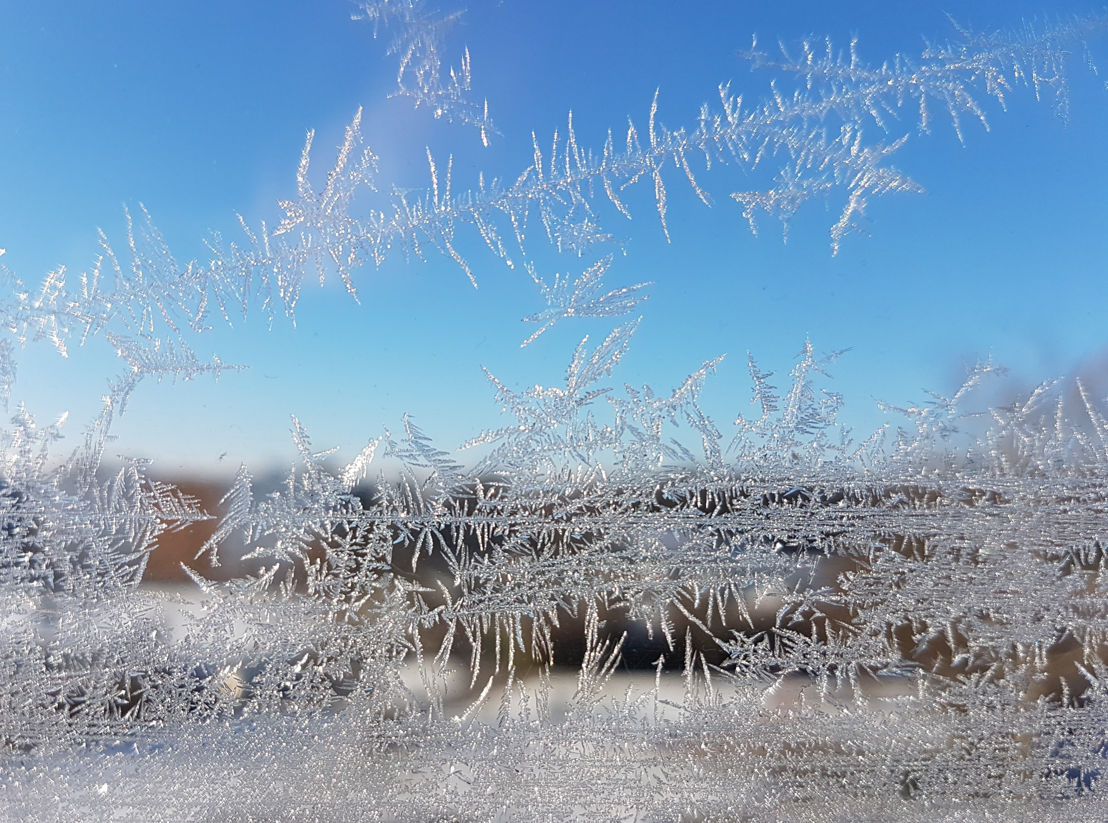 Ice_2022_14