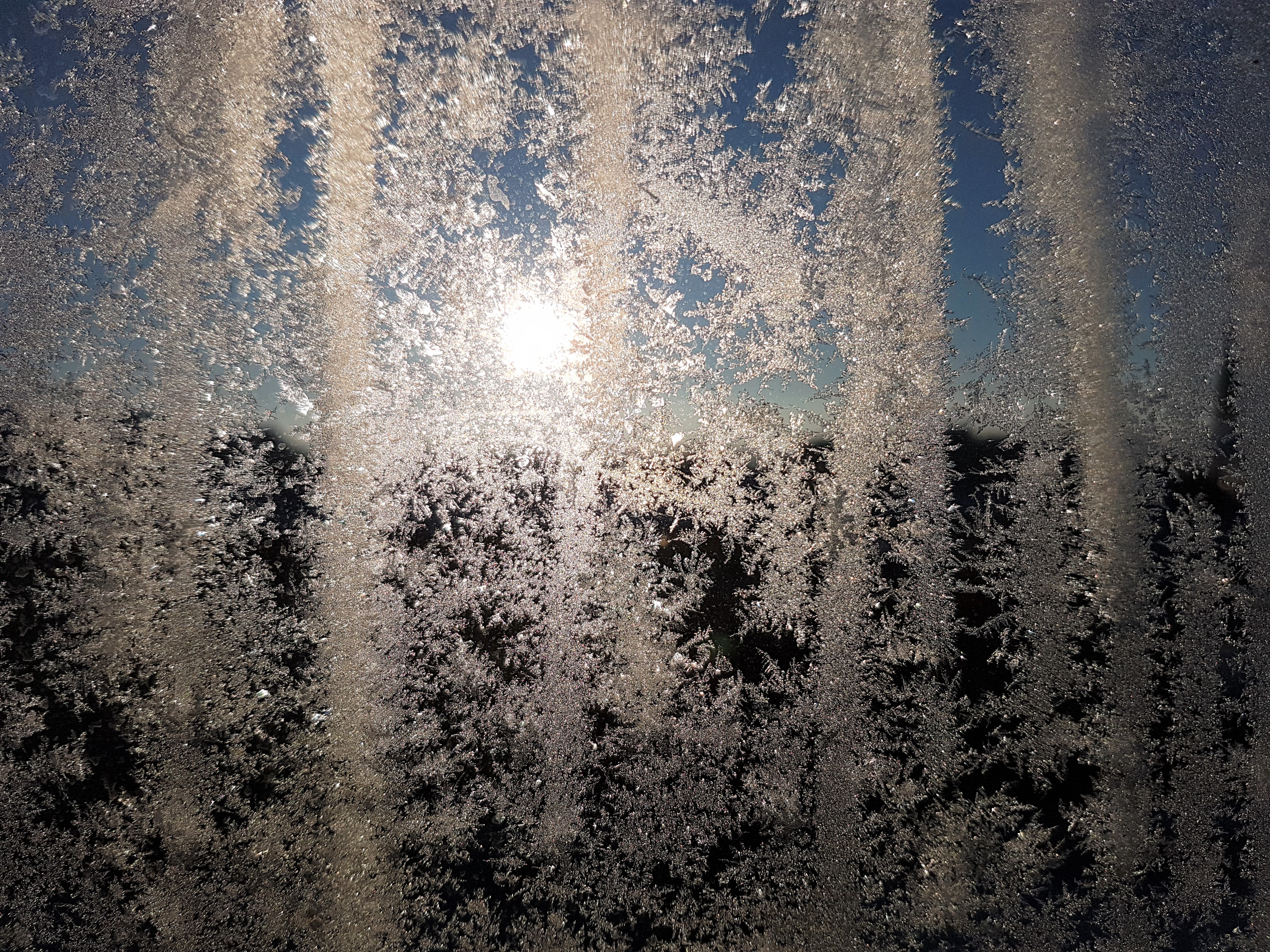 Ice_2022_15