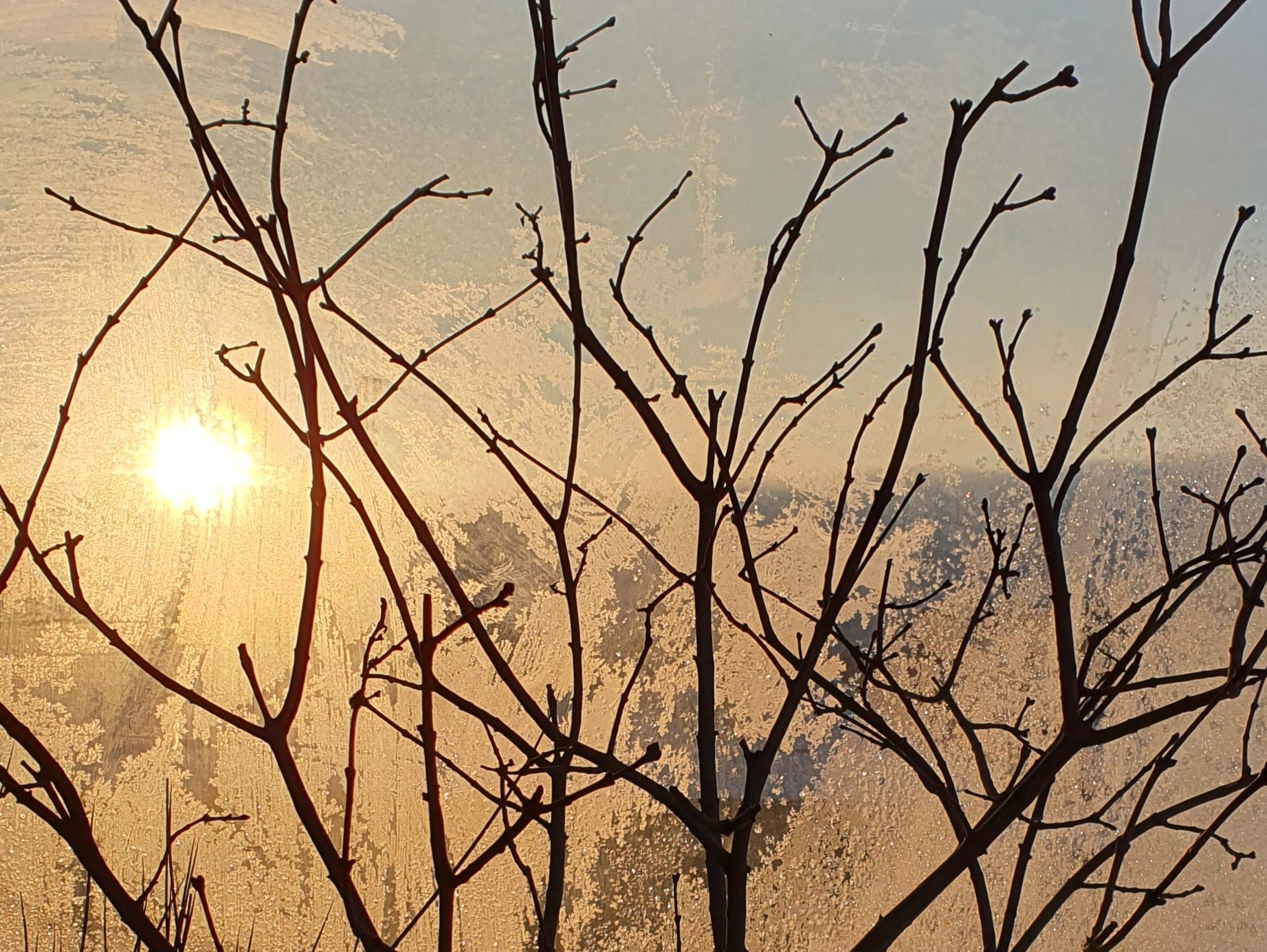 Ice_2022_16