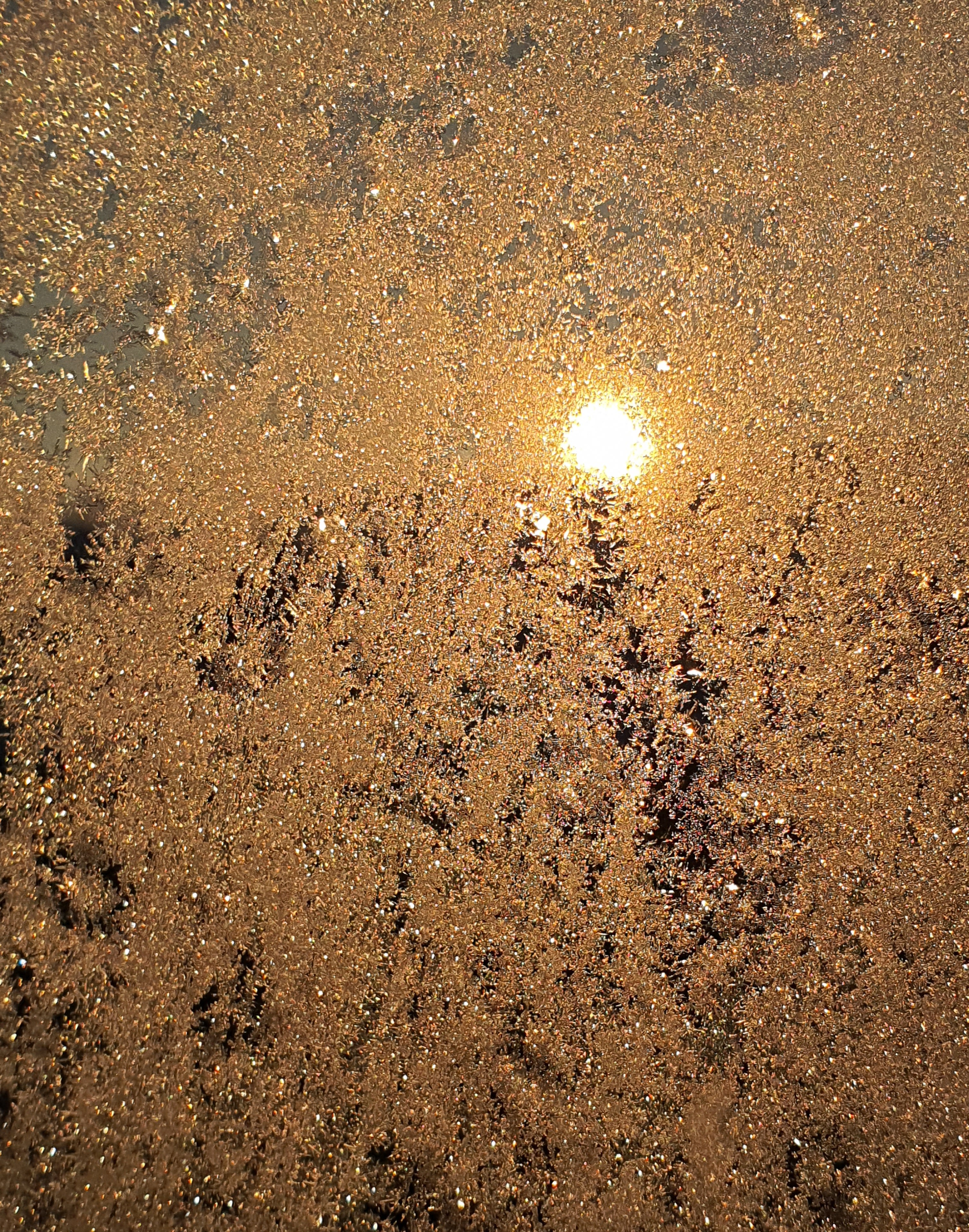 Ice_2022_20