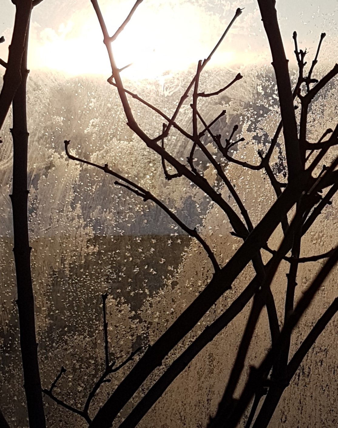 Ice_2022_21