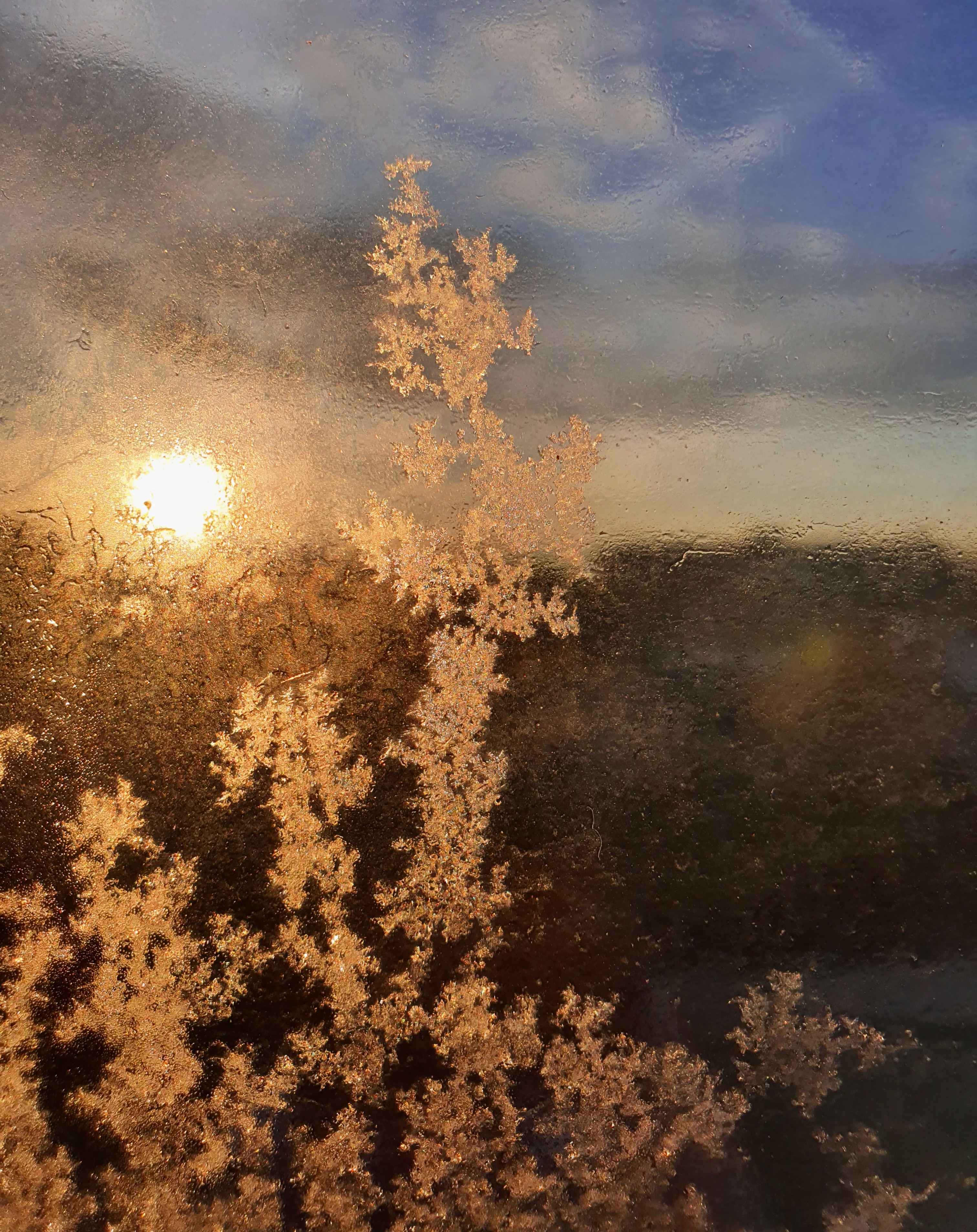 Ice_2022_24