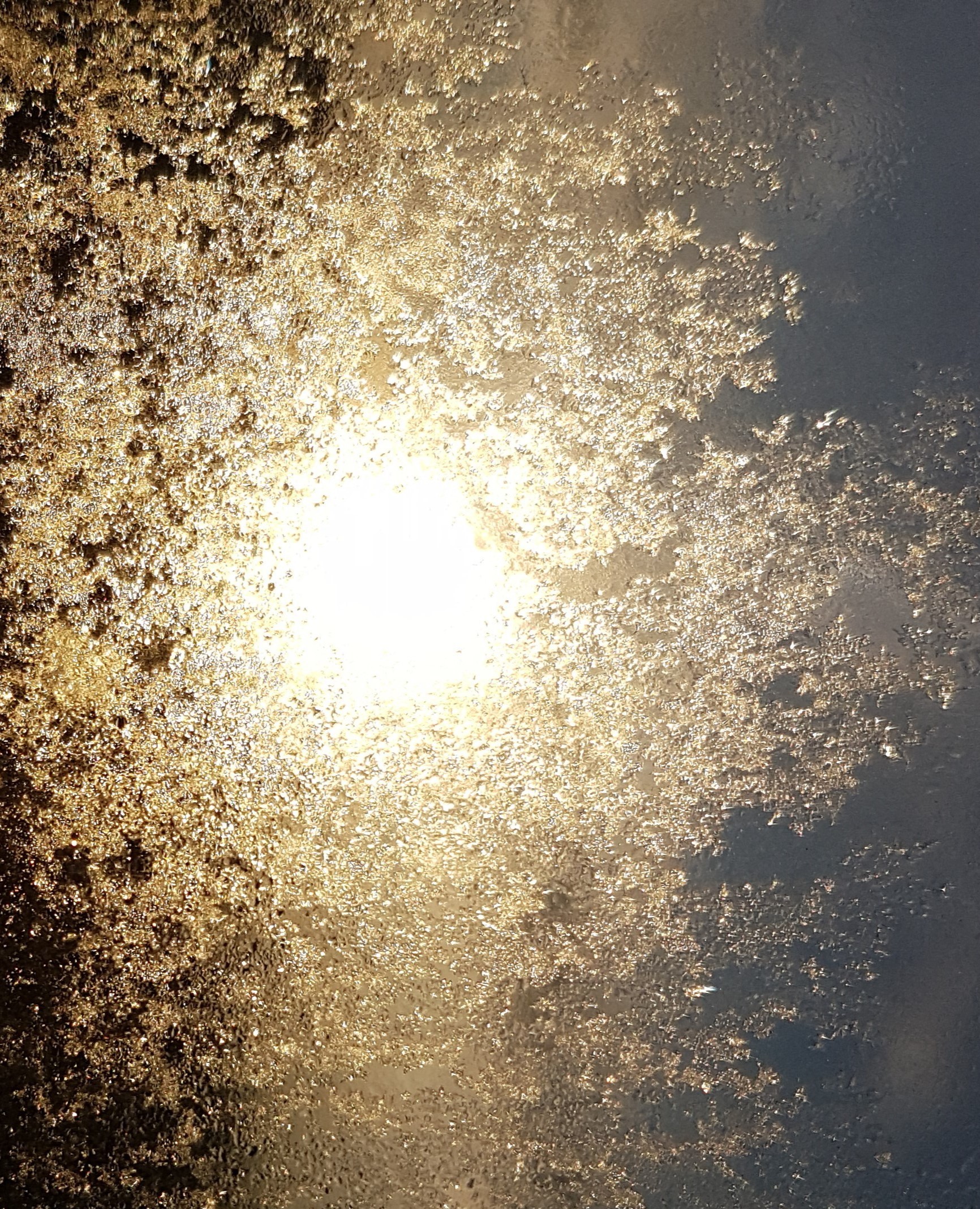 Ice_2022_25
