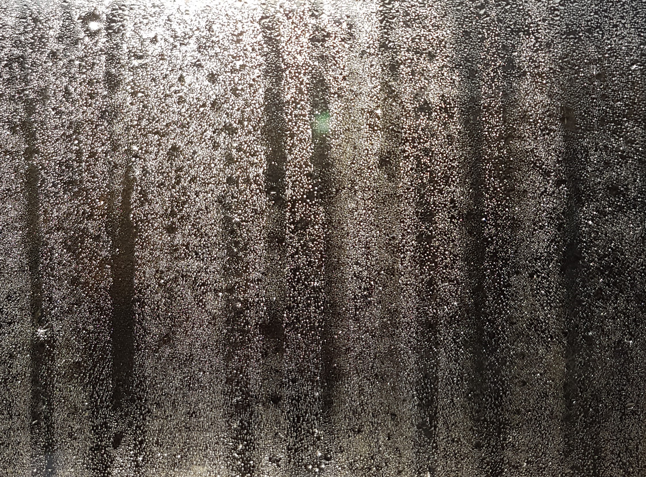 Ice_2022_28