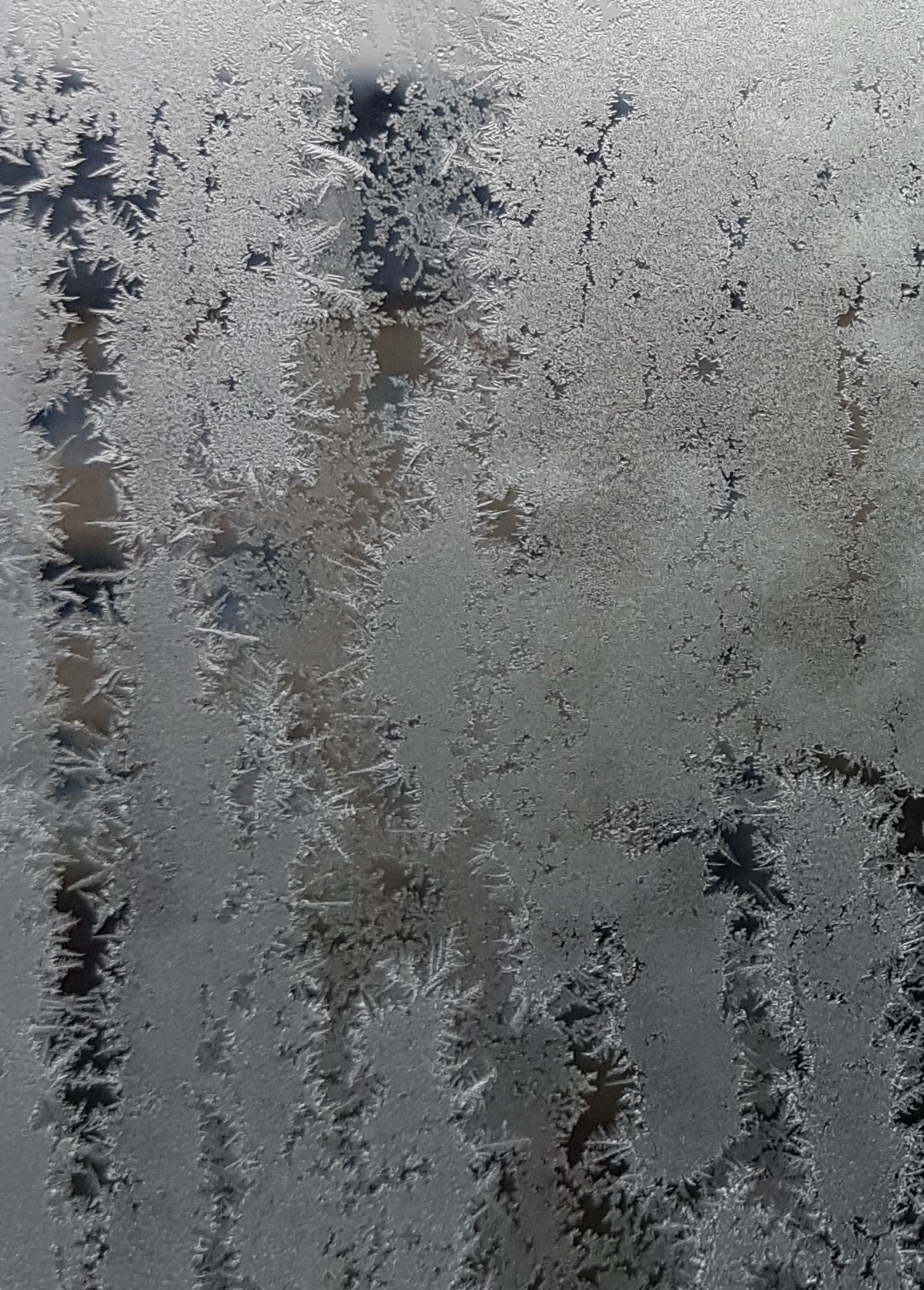 Ice_2022_3