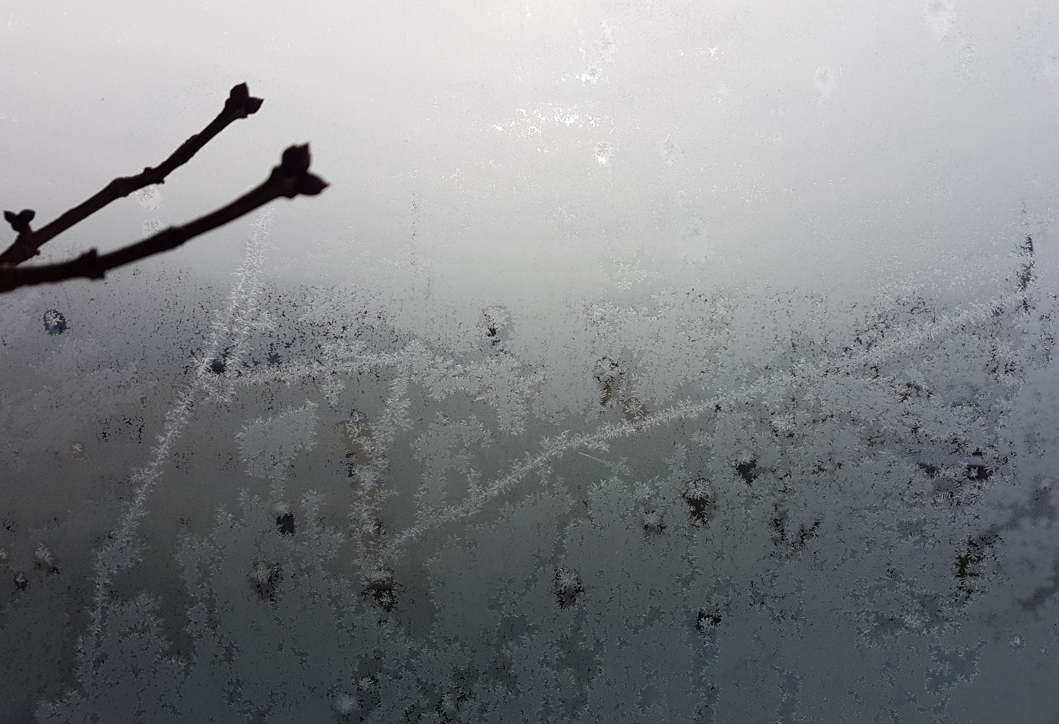 Ice_2022_7