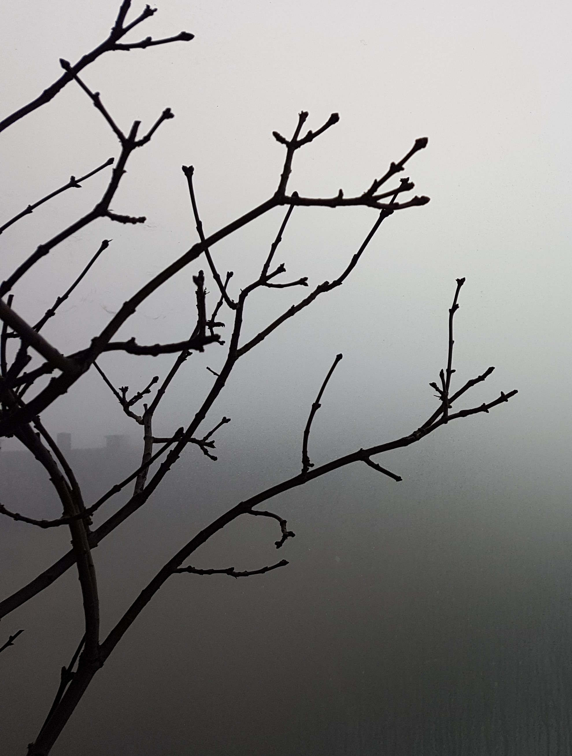 Ice_2023_1