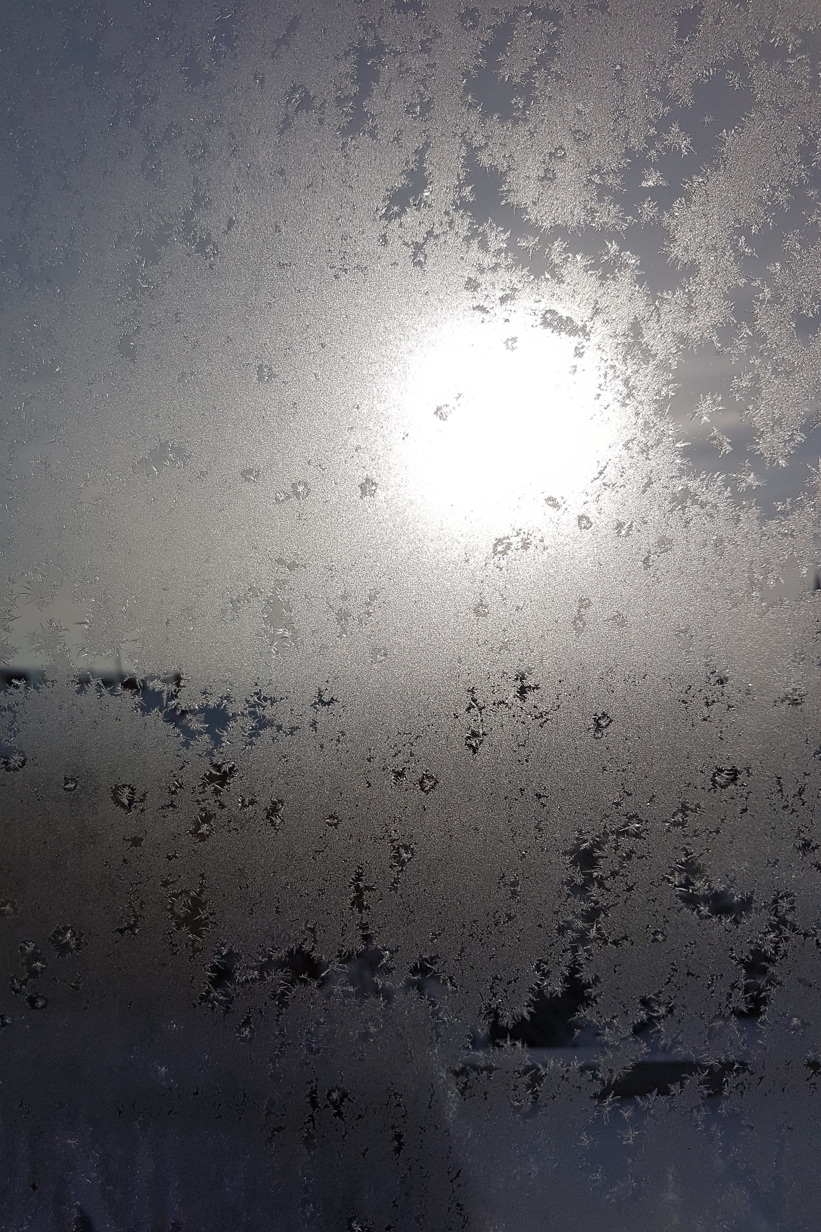 Ice_2023_5
