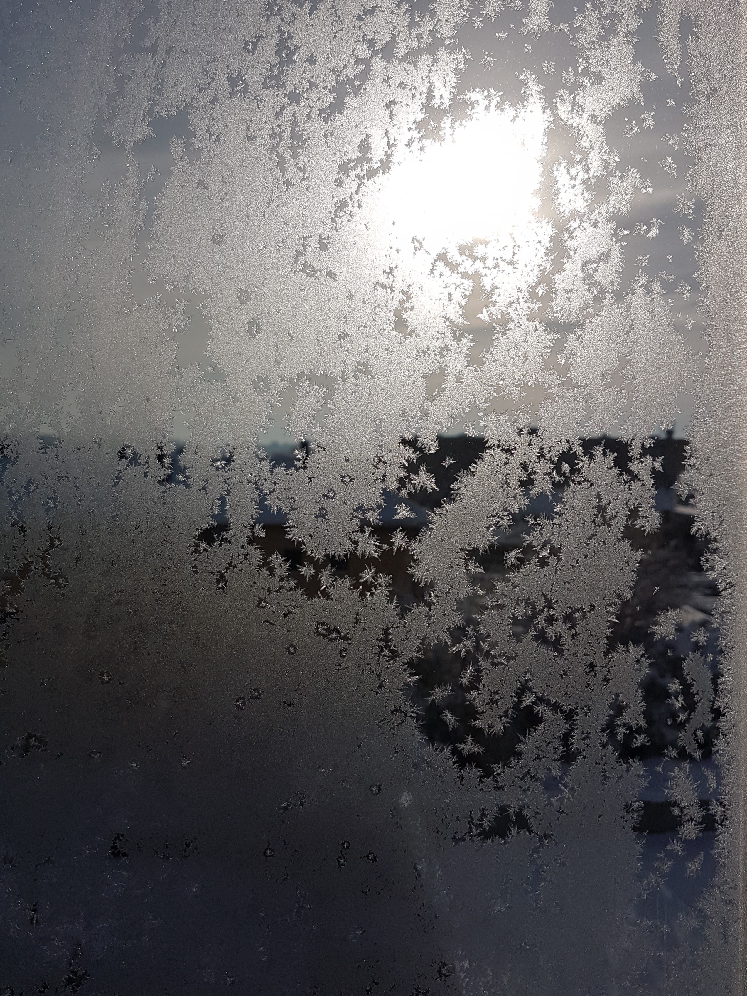 Ice_2023_8