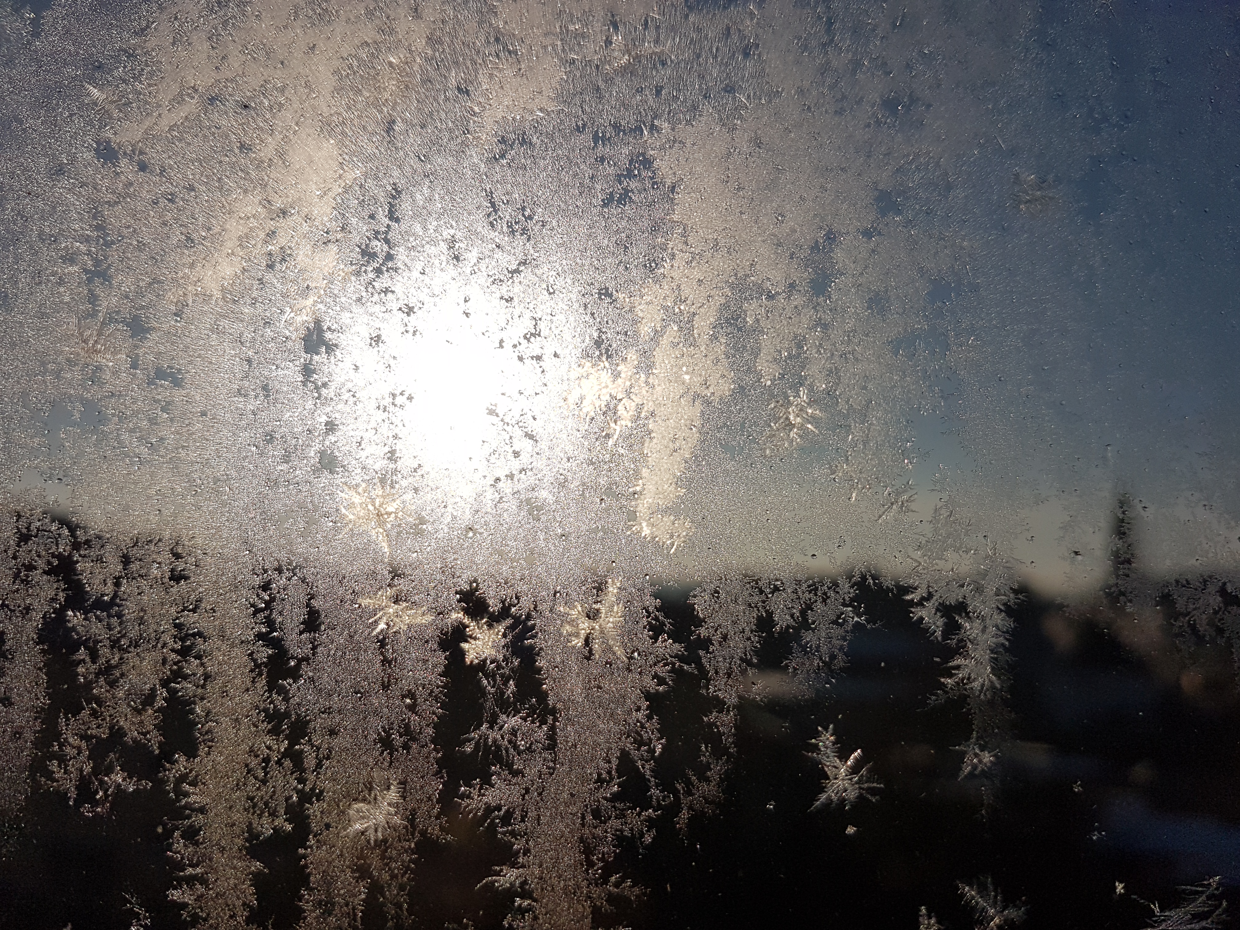 Ice_2024_1