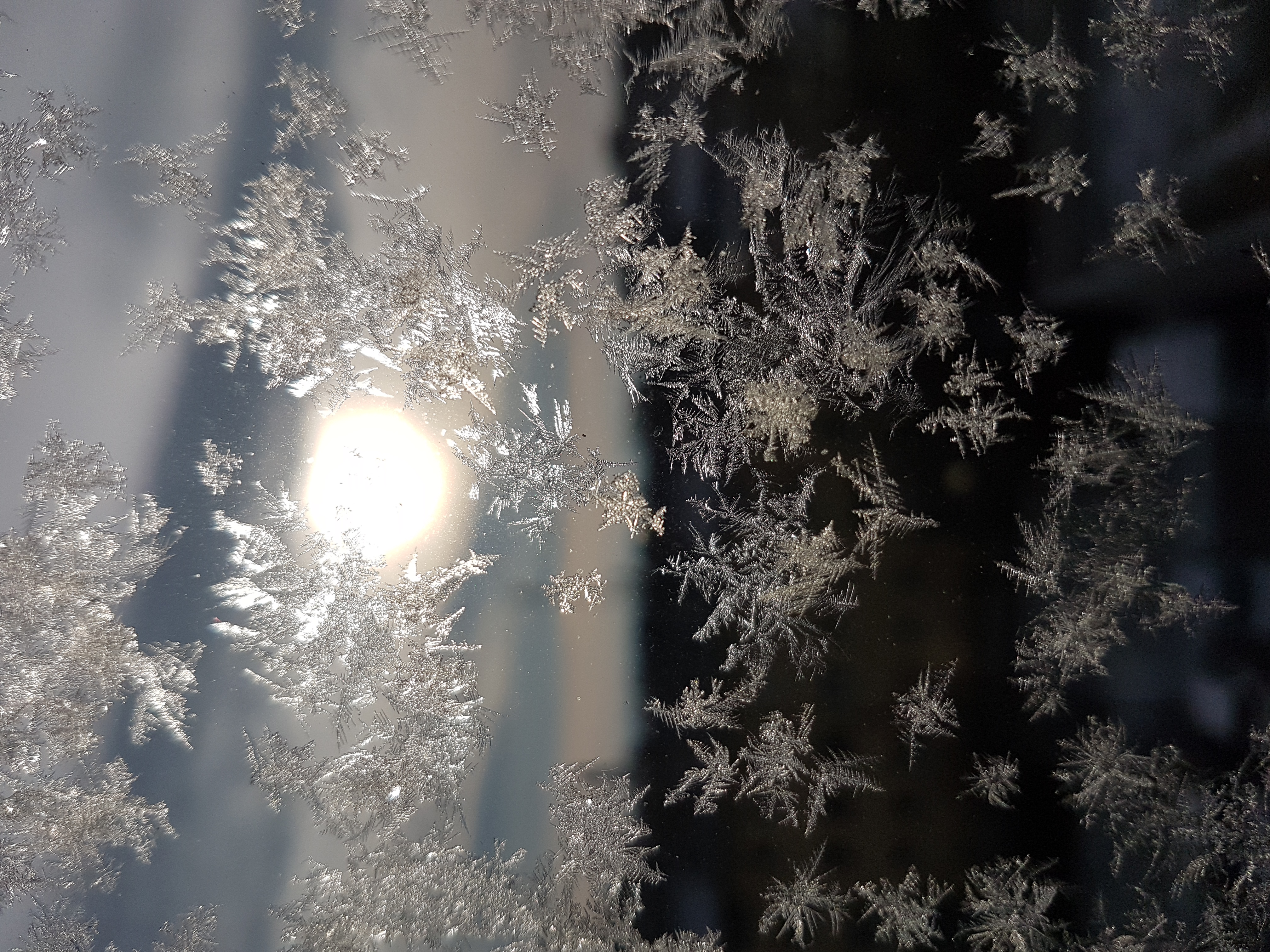 Ice_2024_10