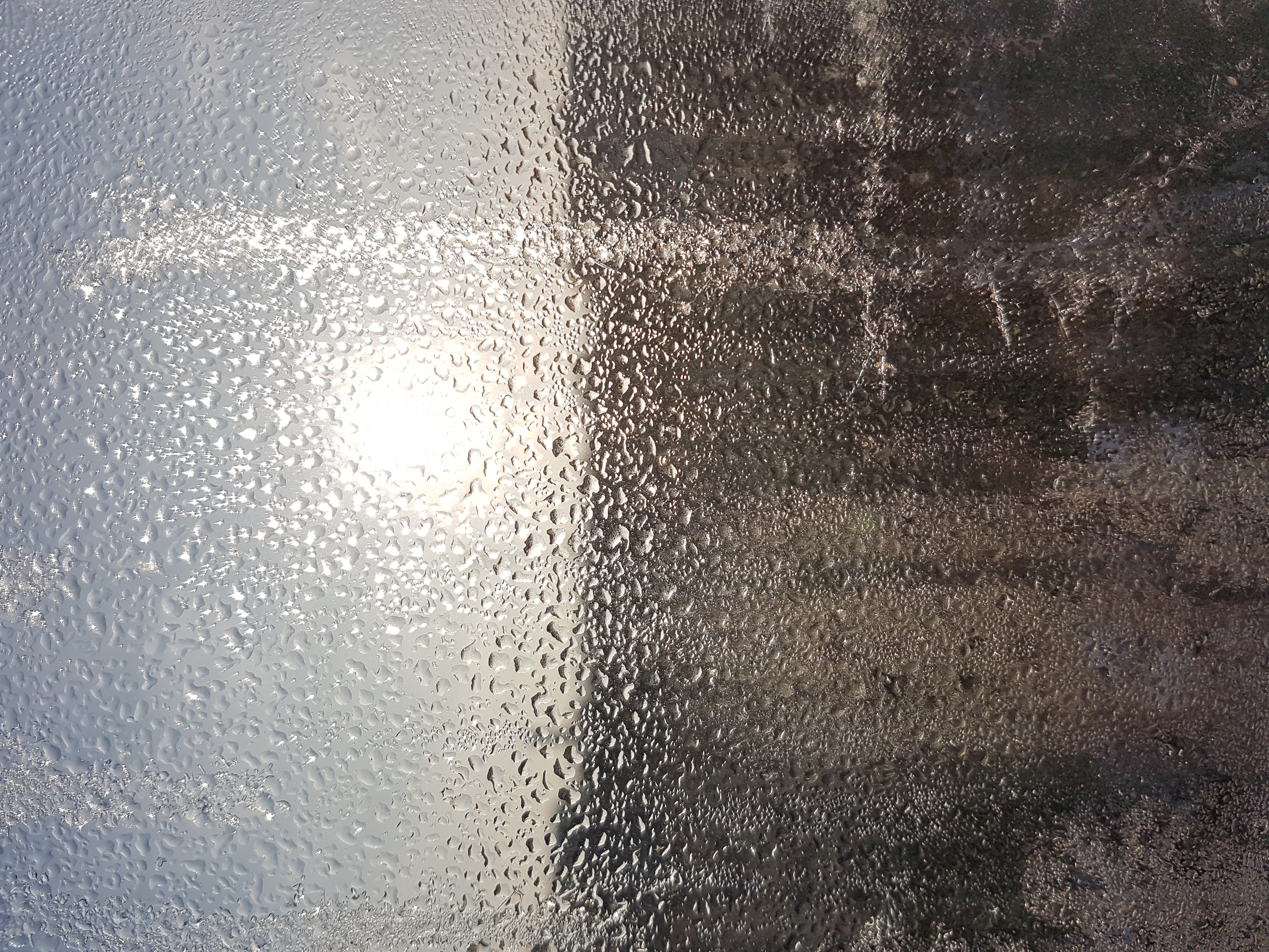 Ice_2024_13