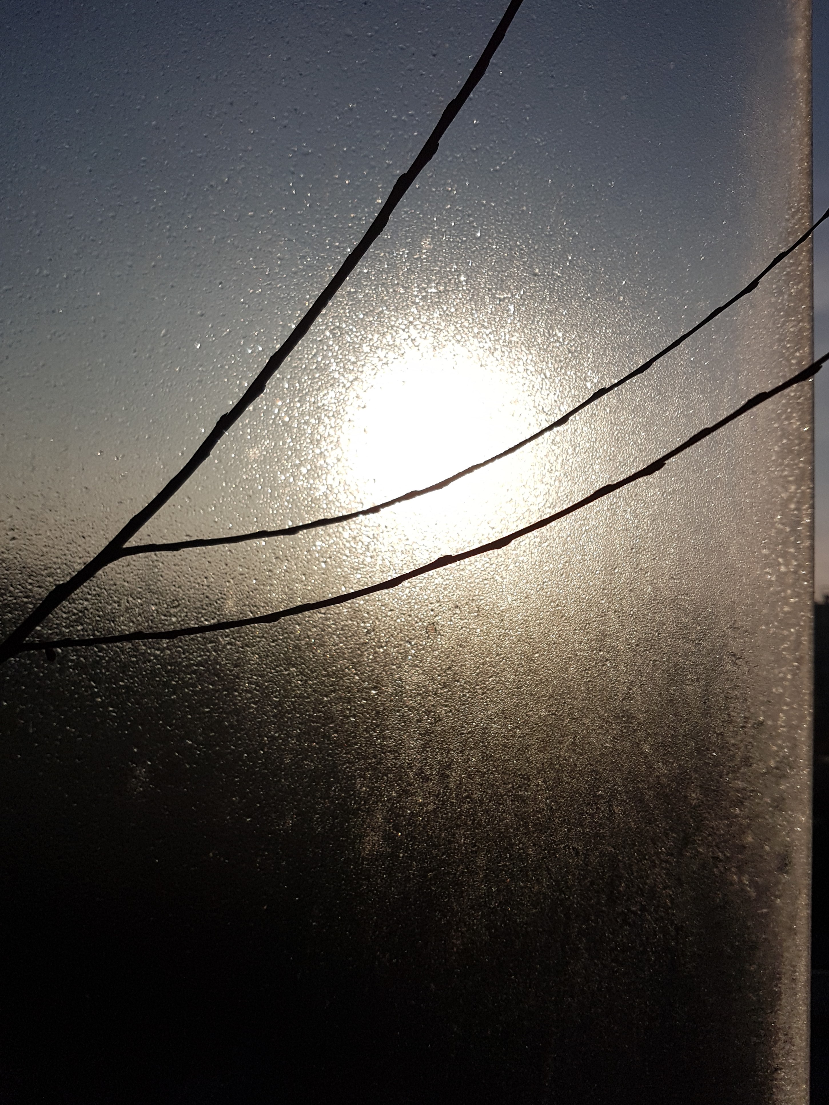 Ice_2024_14