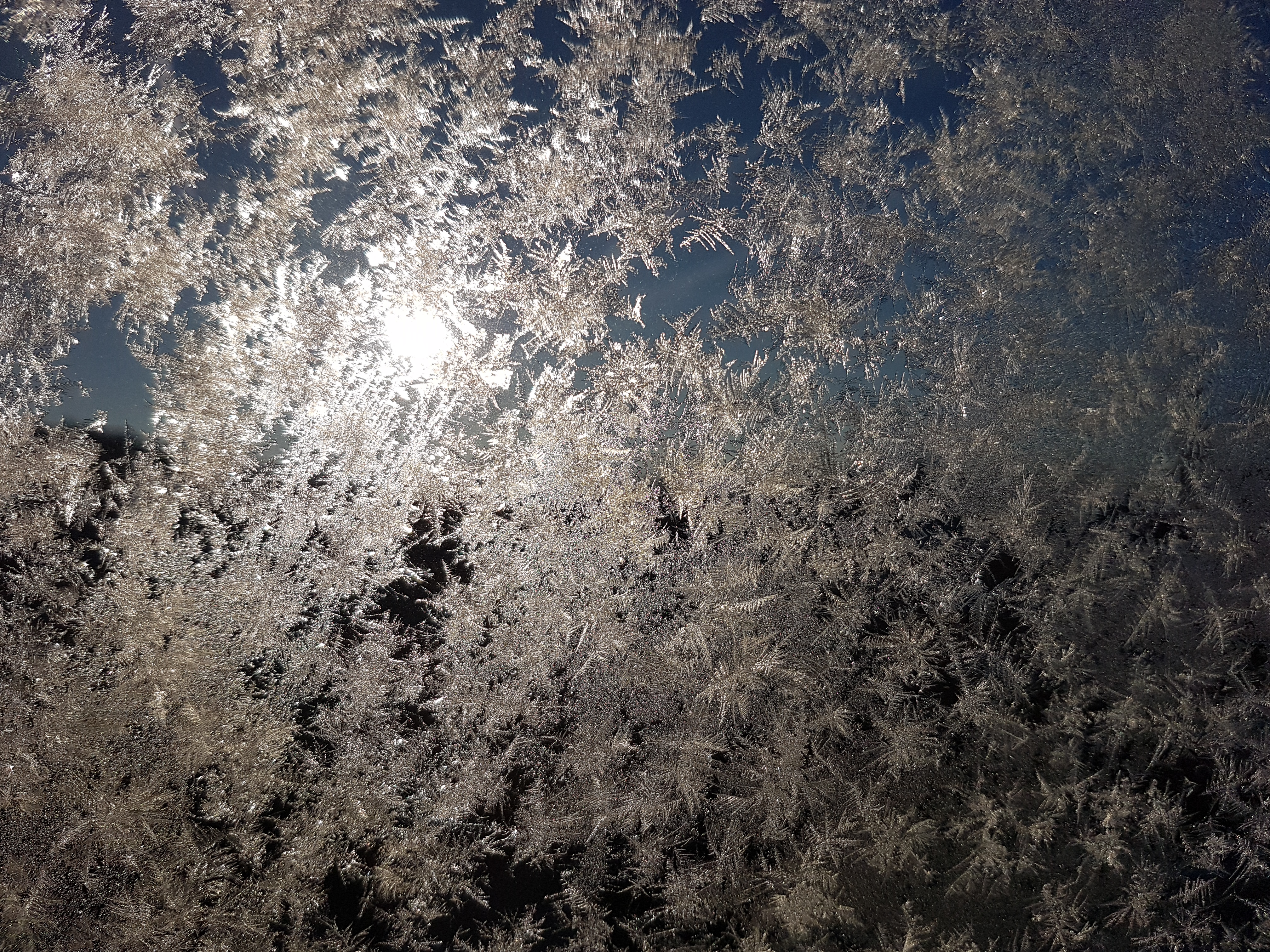 Ice_2024_2