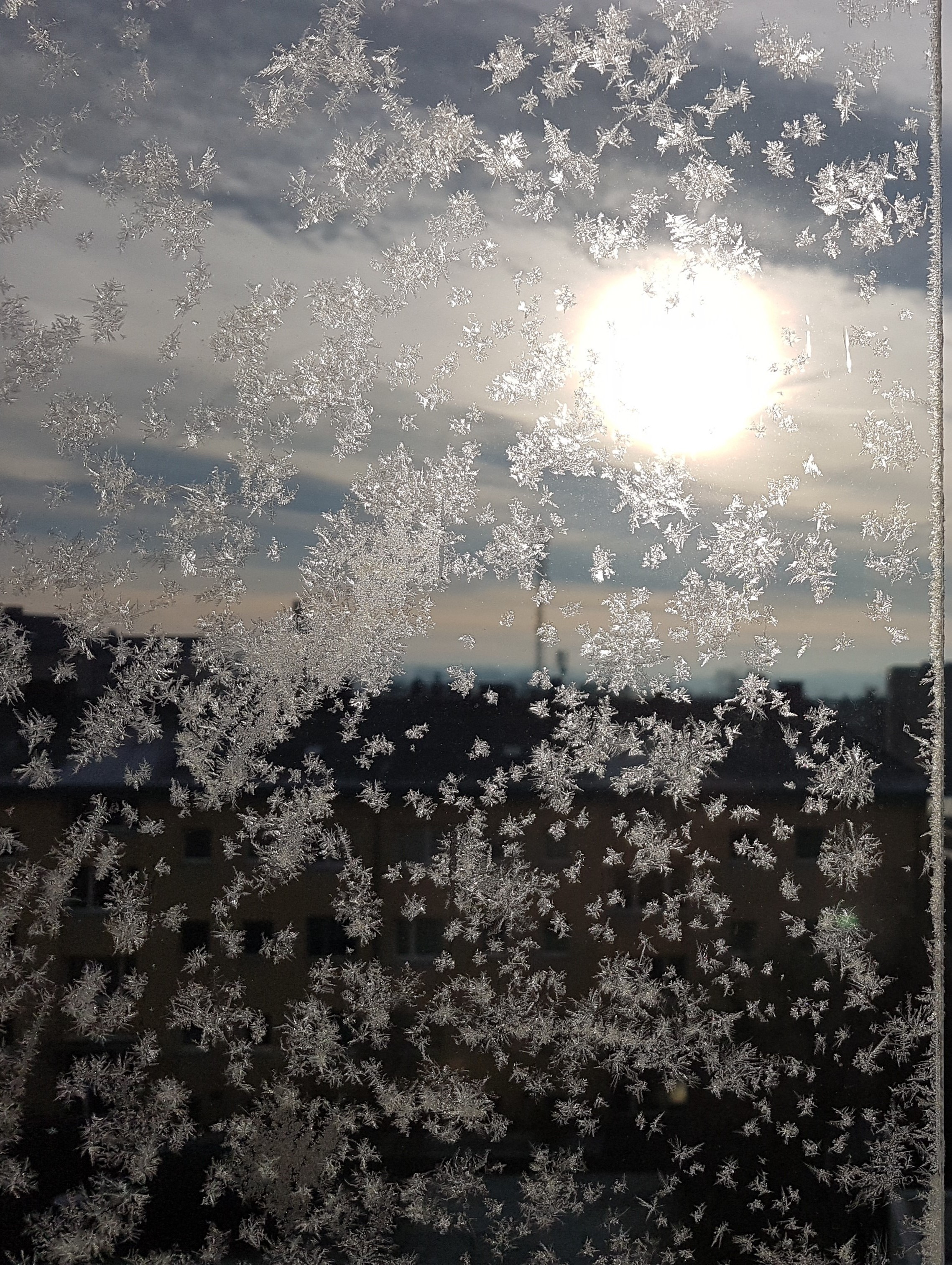 Ice_2024_5