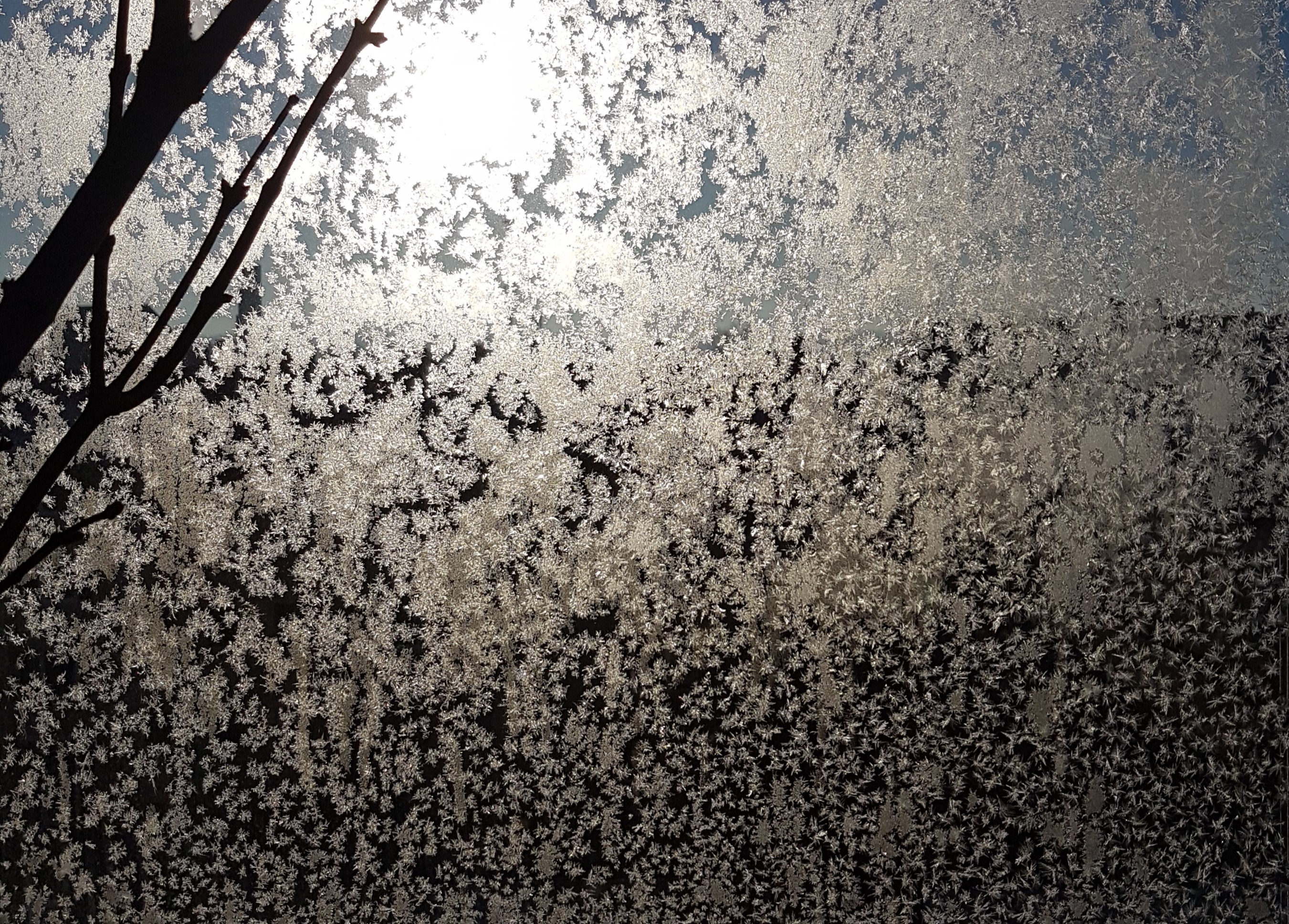 Ice_2024_7