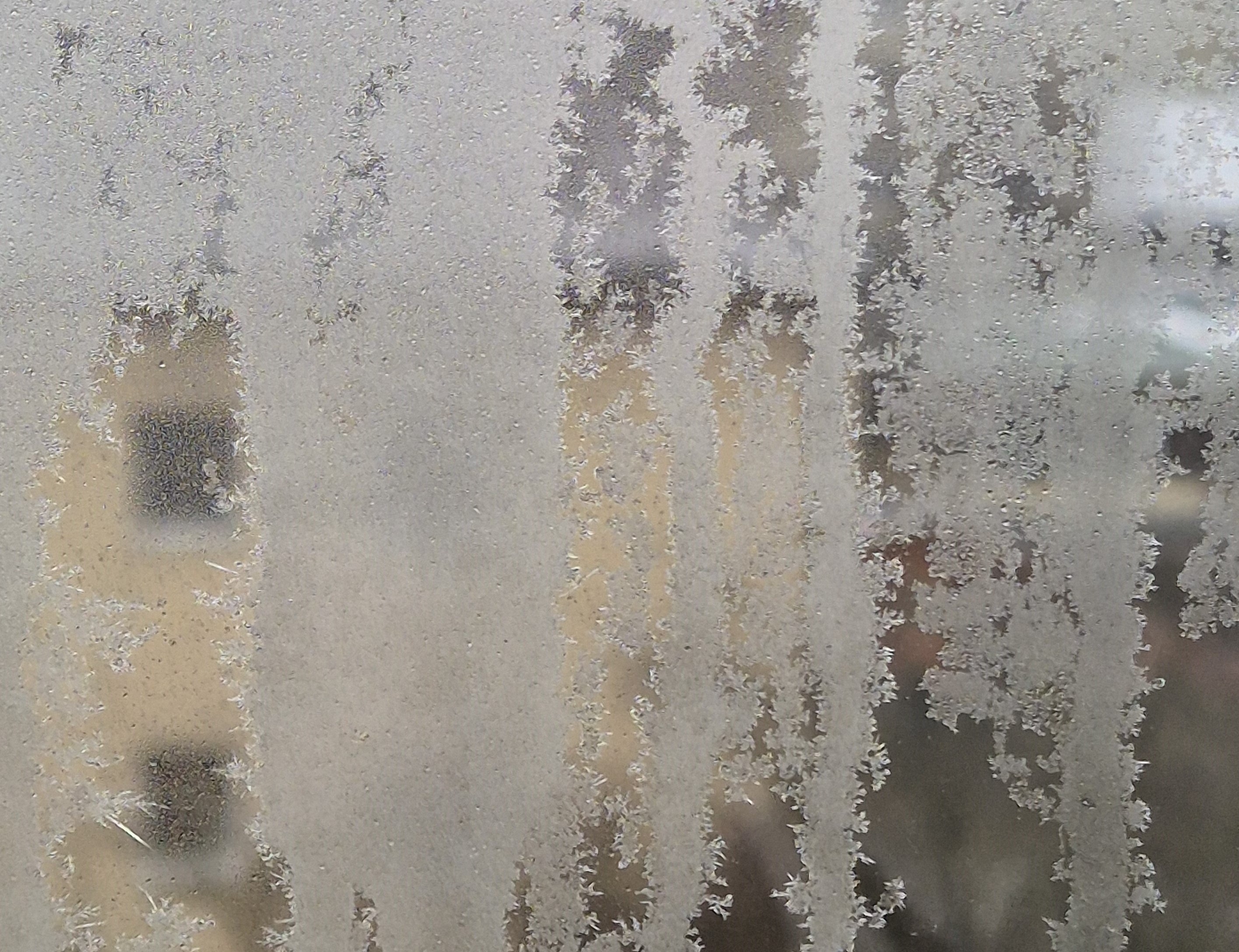 Ice_2025_11